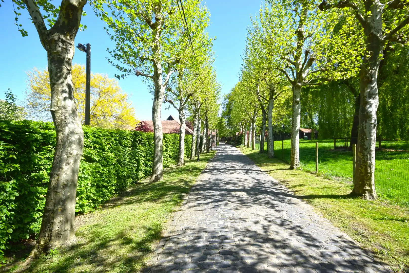 UITZONDERLIJK LANDHUIS MET FRAAIE TUINEN - VIJVER - WEIDES ... foto 3