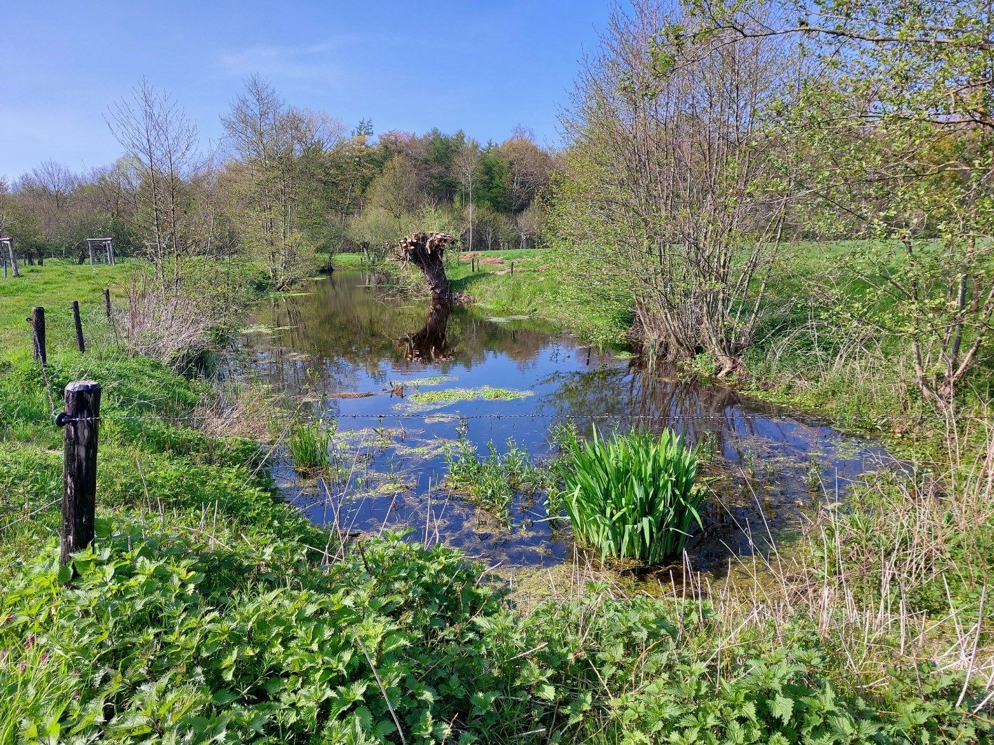 Gerestaureerde hoeve "Ter Leyden" foto 9