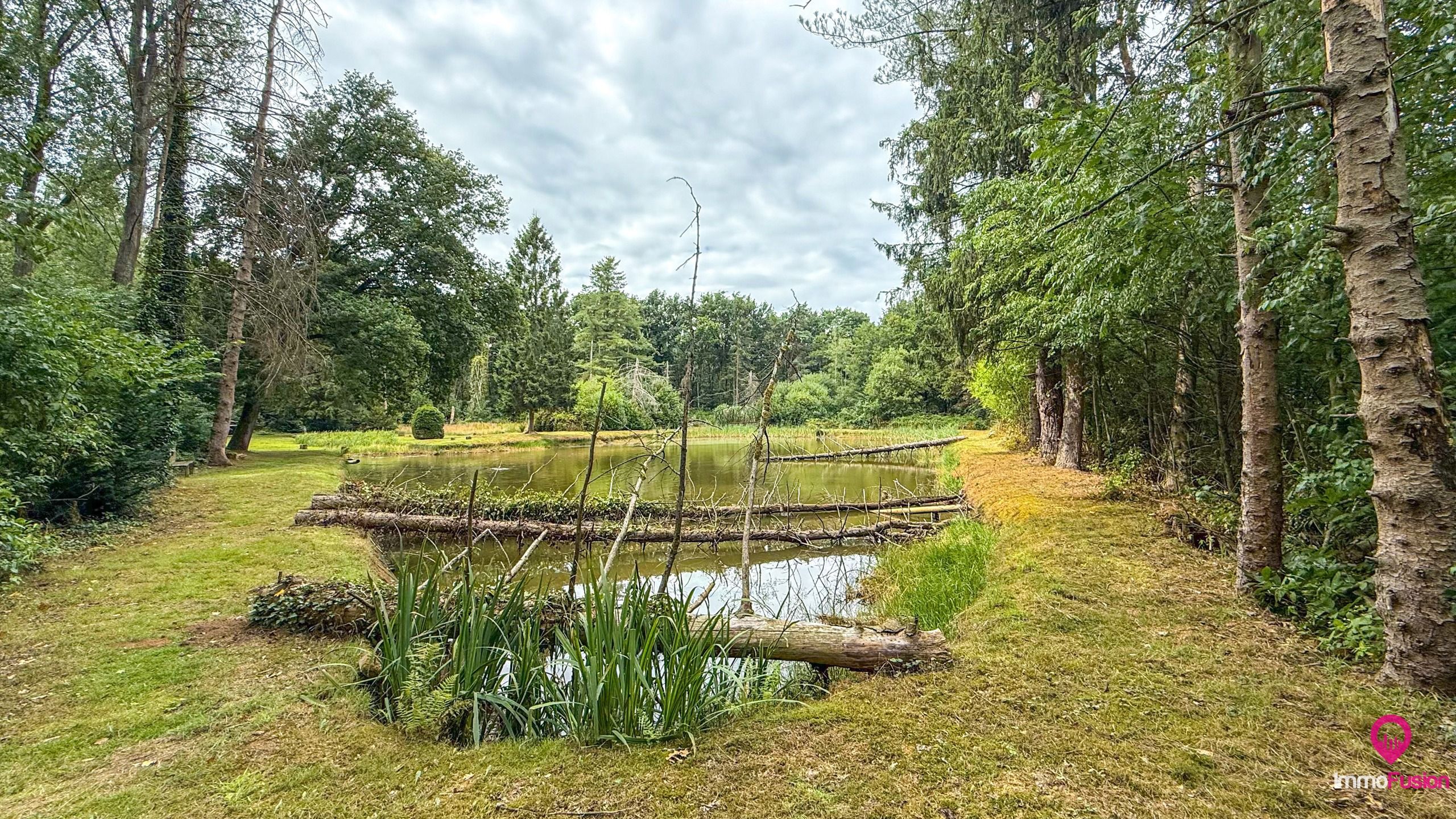 Droom buitenverblijf in Hasselt voor natuurliefhebbers!  foto 32