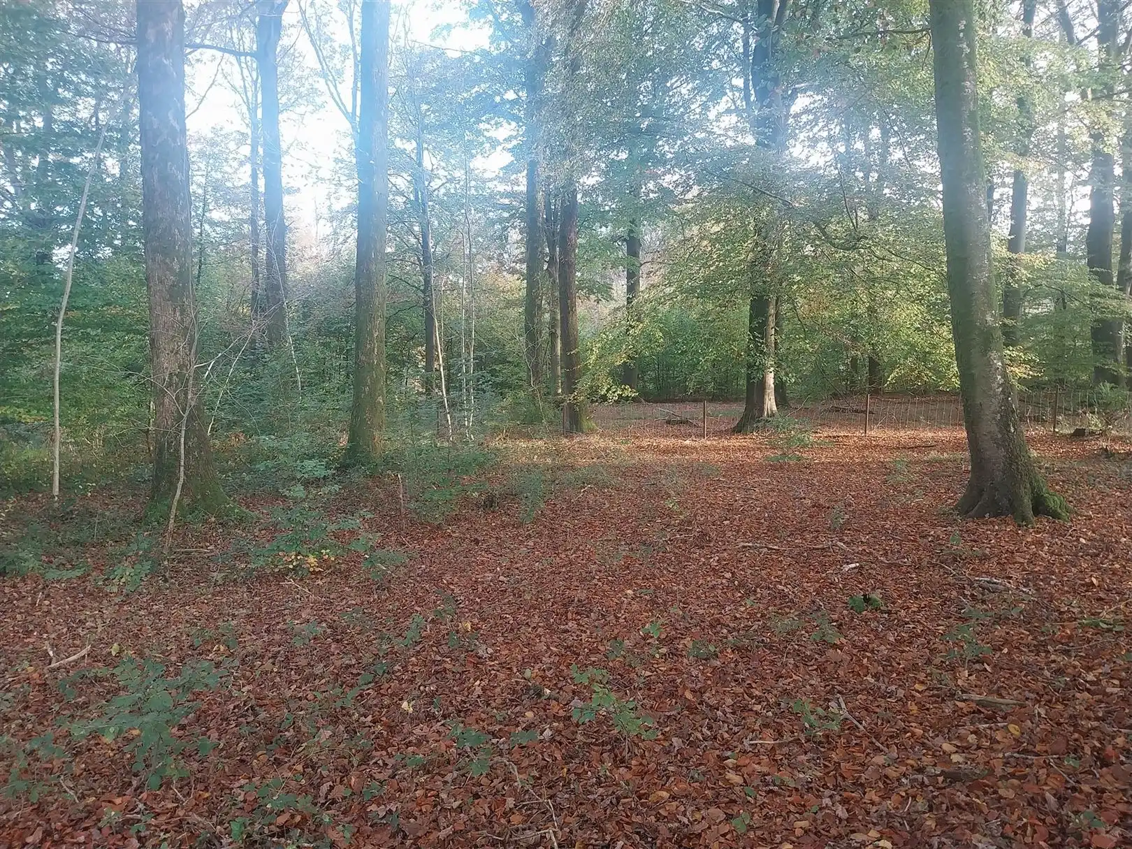 Bouwgrond foto 4
