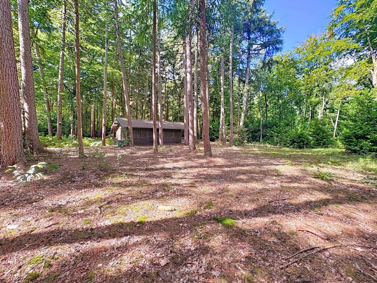 Perceel bosgrond met schuilhuisje  foto 6