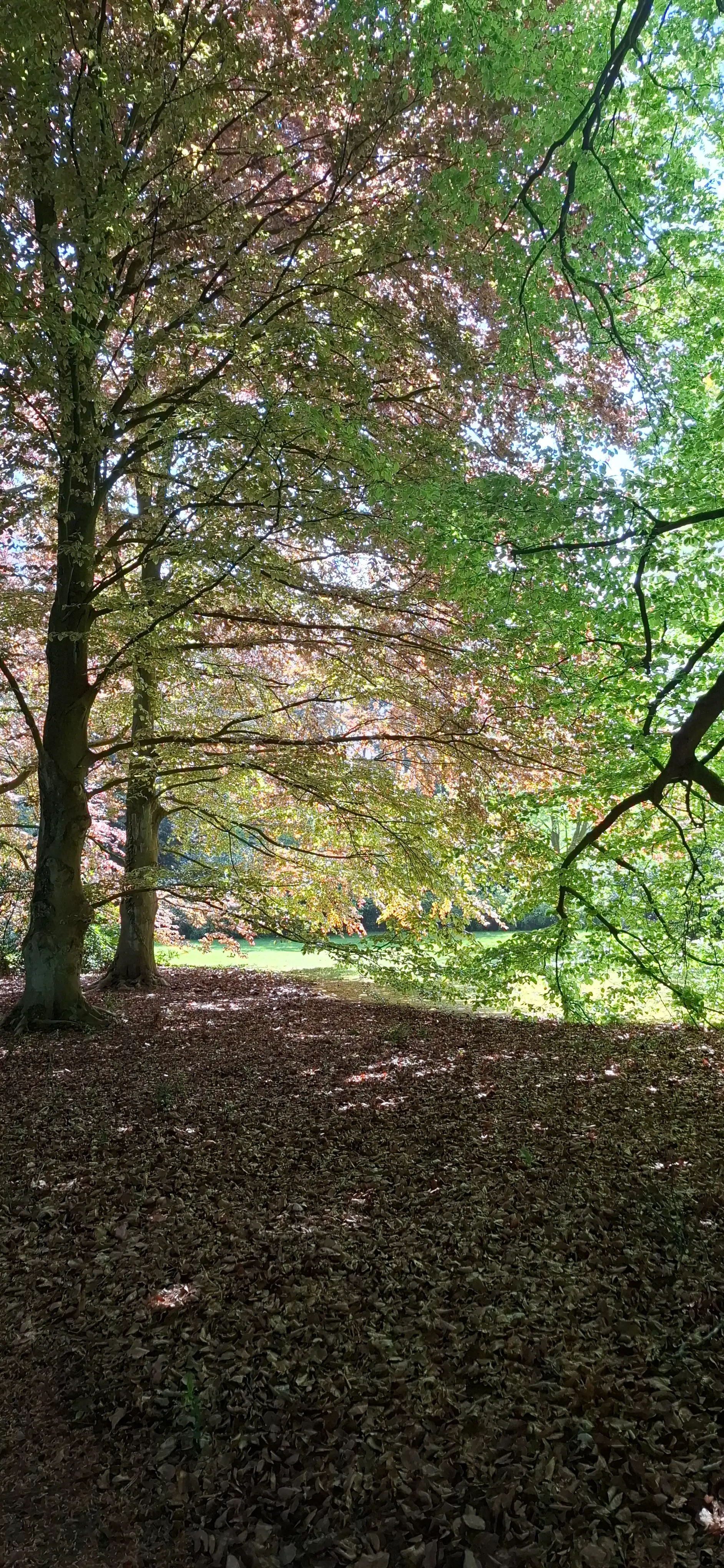 Zonnig appartement in Kapellen te koop foto 9