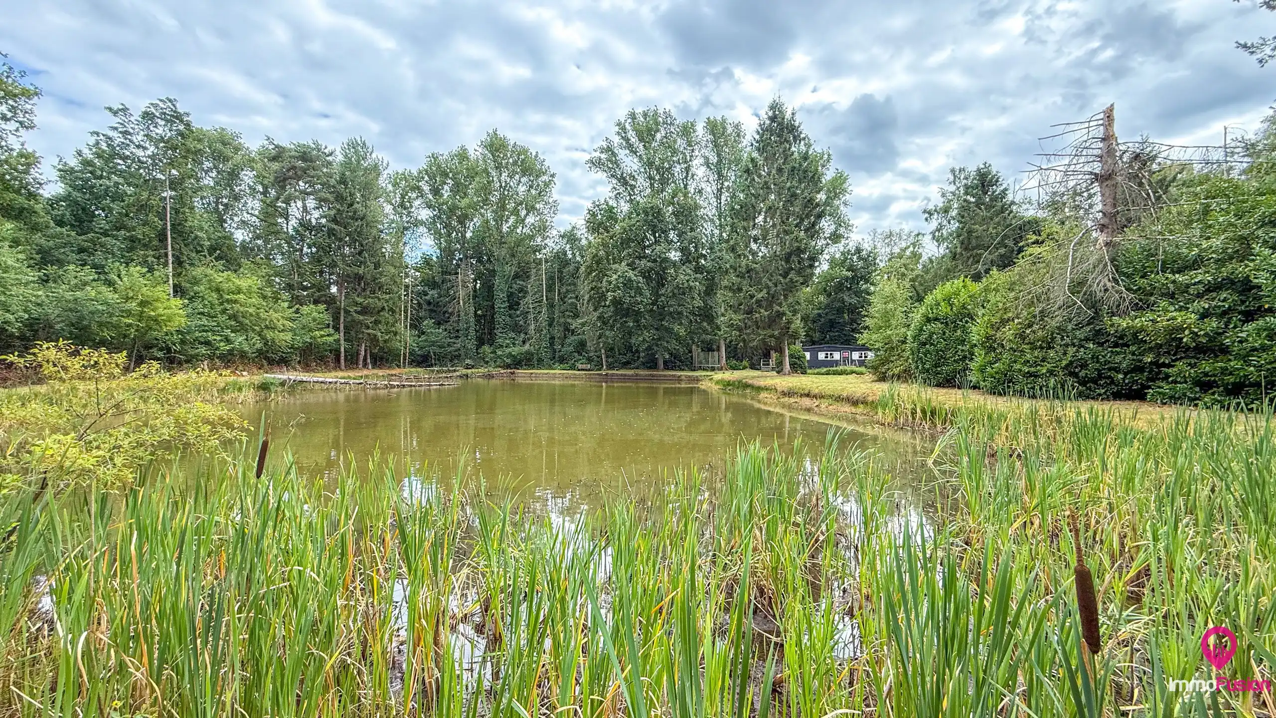 Droom buitenverblijf in Hasselt voor natuurliefhebbers!  foto 37