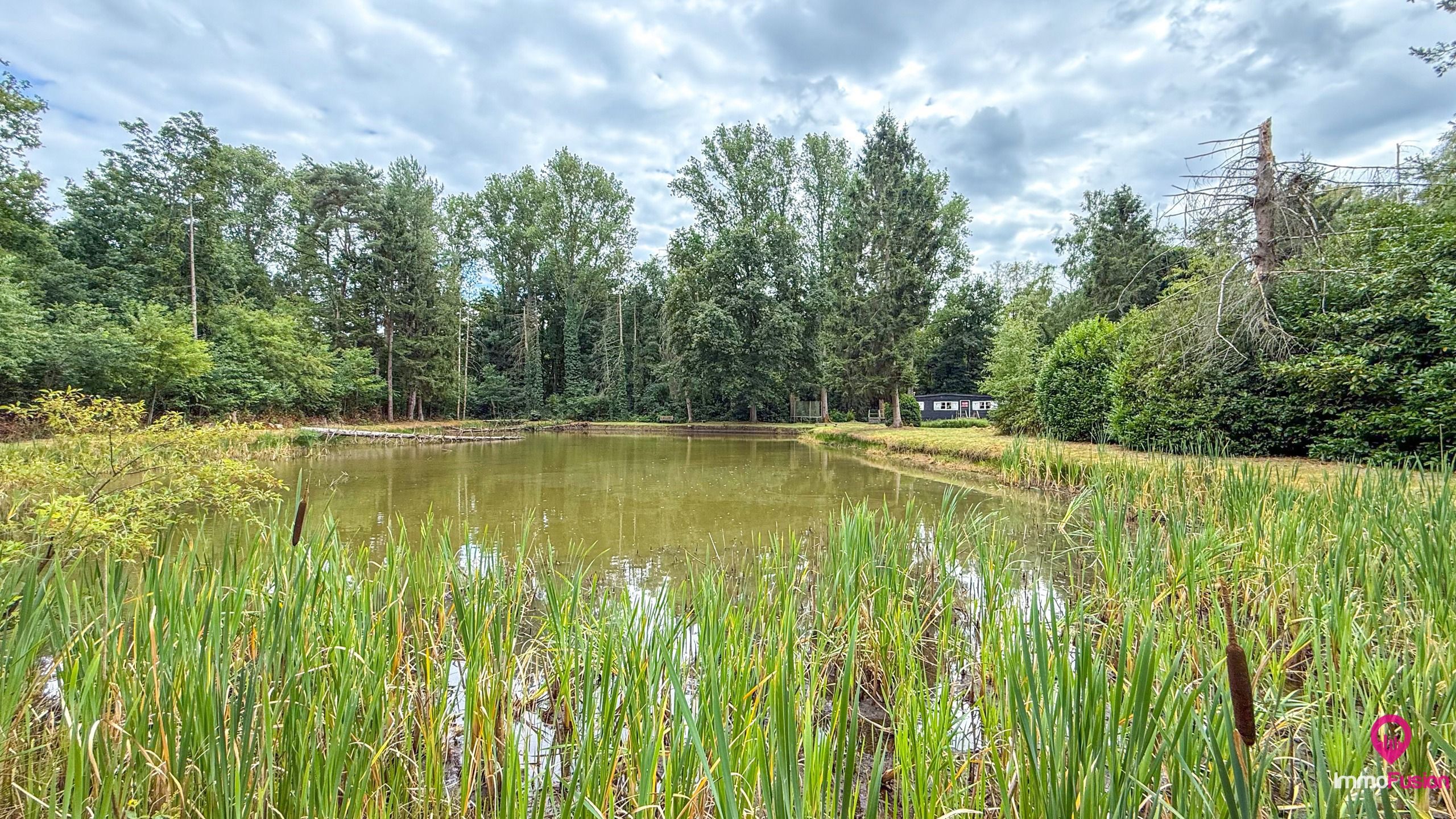 Droom buitenverblijf in Hasselt voor natuurliefhebbers!  foto 37