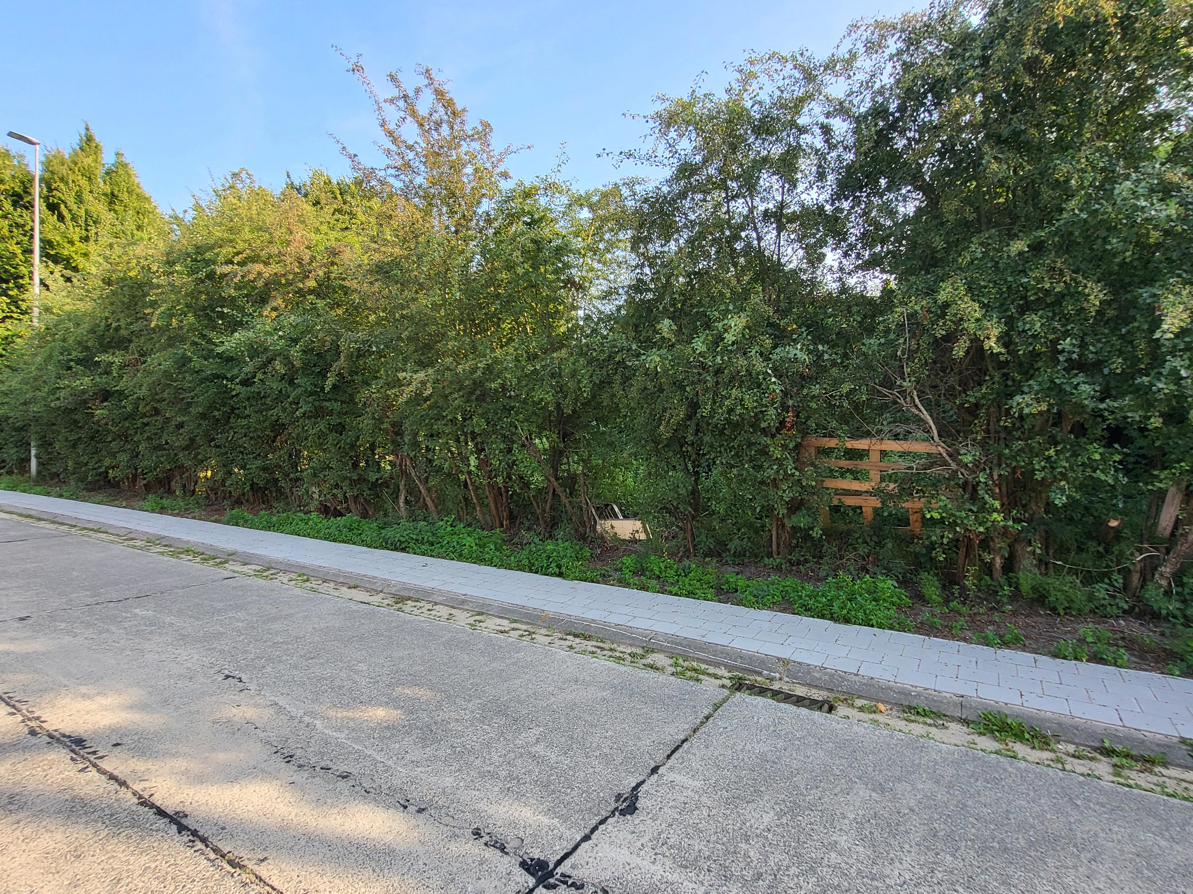 Grond gelegen in woongebied, zie voorstudie in de bijlage. Gelegen in een rustig straatje.  foto 2