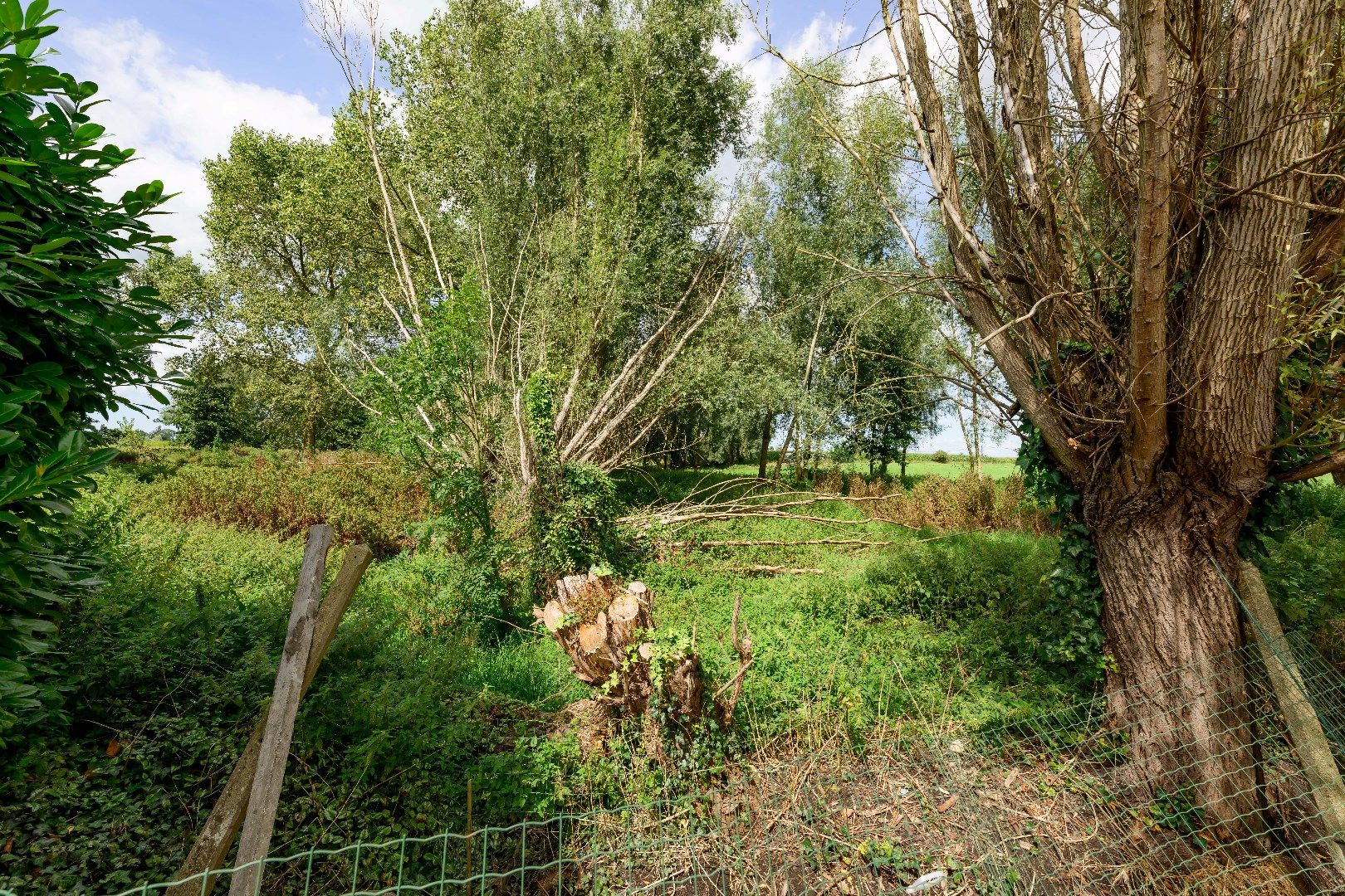 GEZINSWONING MET TUIN IN HET PITTORESKE SCHUIFERSKAPELLE  foto 17