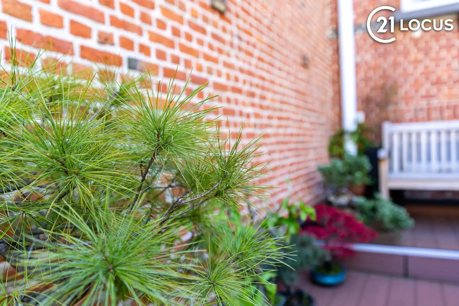 Karaktervolle herenwoning in geliefd Zurenborg foto 12