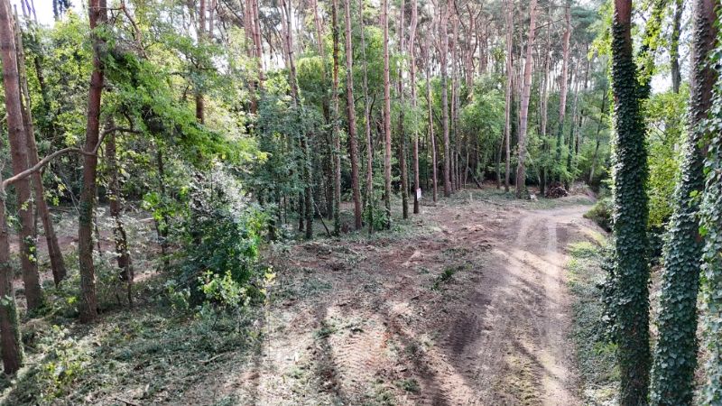 Residentieel gelegen bouwgrond van 31 are met 37 are bosgrond nabij golf- en meerdomein foto {{pictureIndex}}