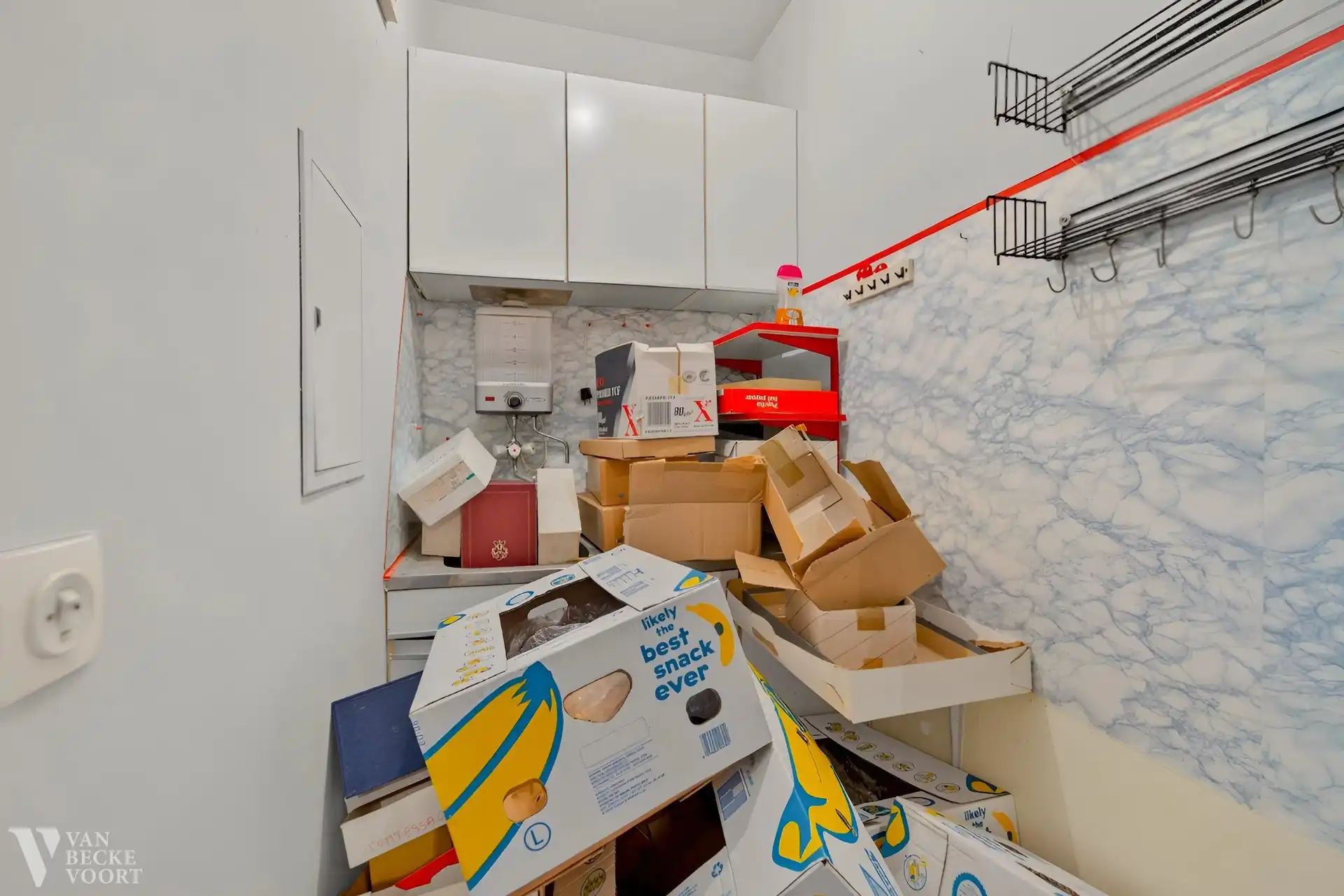 Bijzonder parkappartement - frontaal groenzicht op Leopoldspark foto 15
