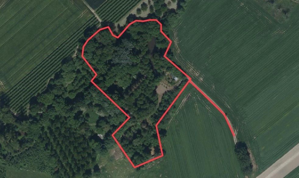 UNIEK DOMEIN MET OFF-GRID VAKANTIEWONING, SCHUUR EN 2 VIJVERS OP 1 HA 41 A foto 2