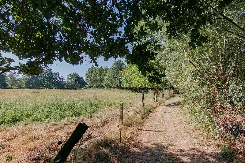 Kom tot rust in deze uitzonderlijk rustig gelegen 'te renoveren' langgevelhoeve op meer dan 2,5 hectaren foto 48