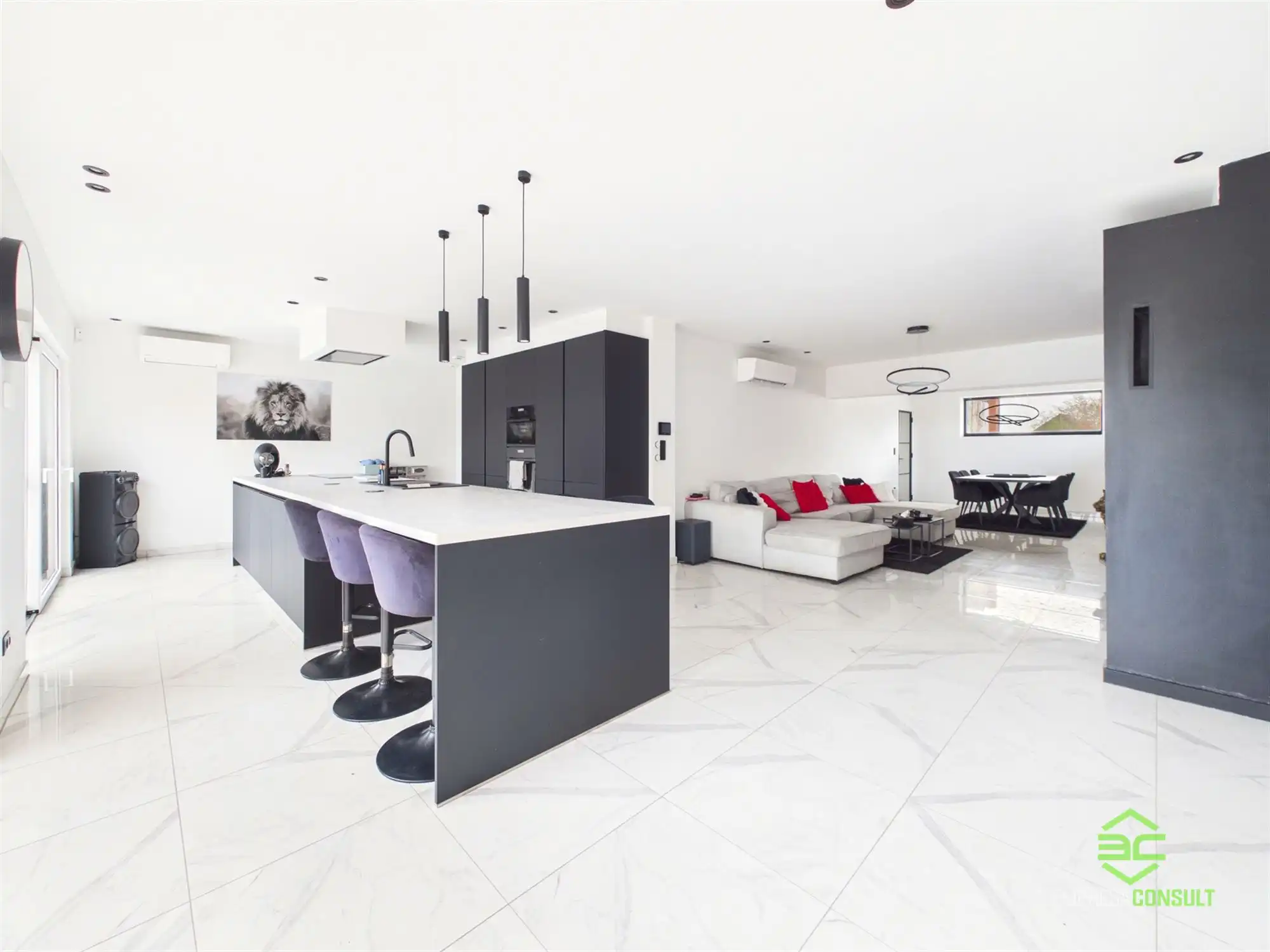 Instapklare gerenoveerde woning met zwembad op 22a 82ca! foto 9