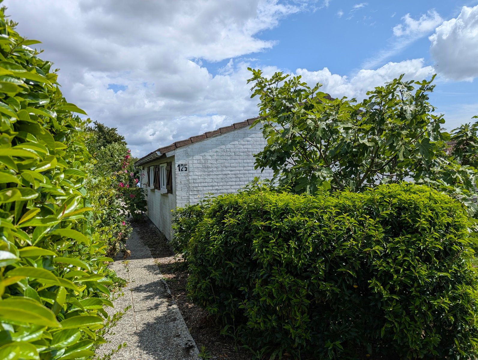Hoofdfoto van de publicatie: Vakantiewoning met 2 slpk, tuin en parking – De Panne