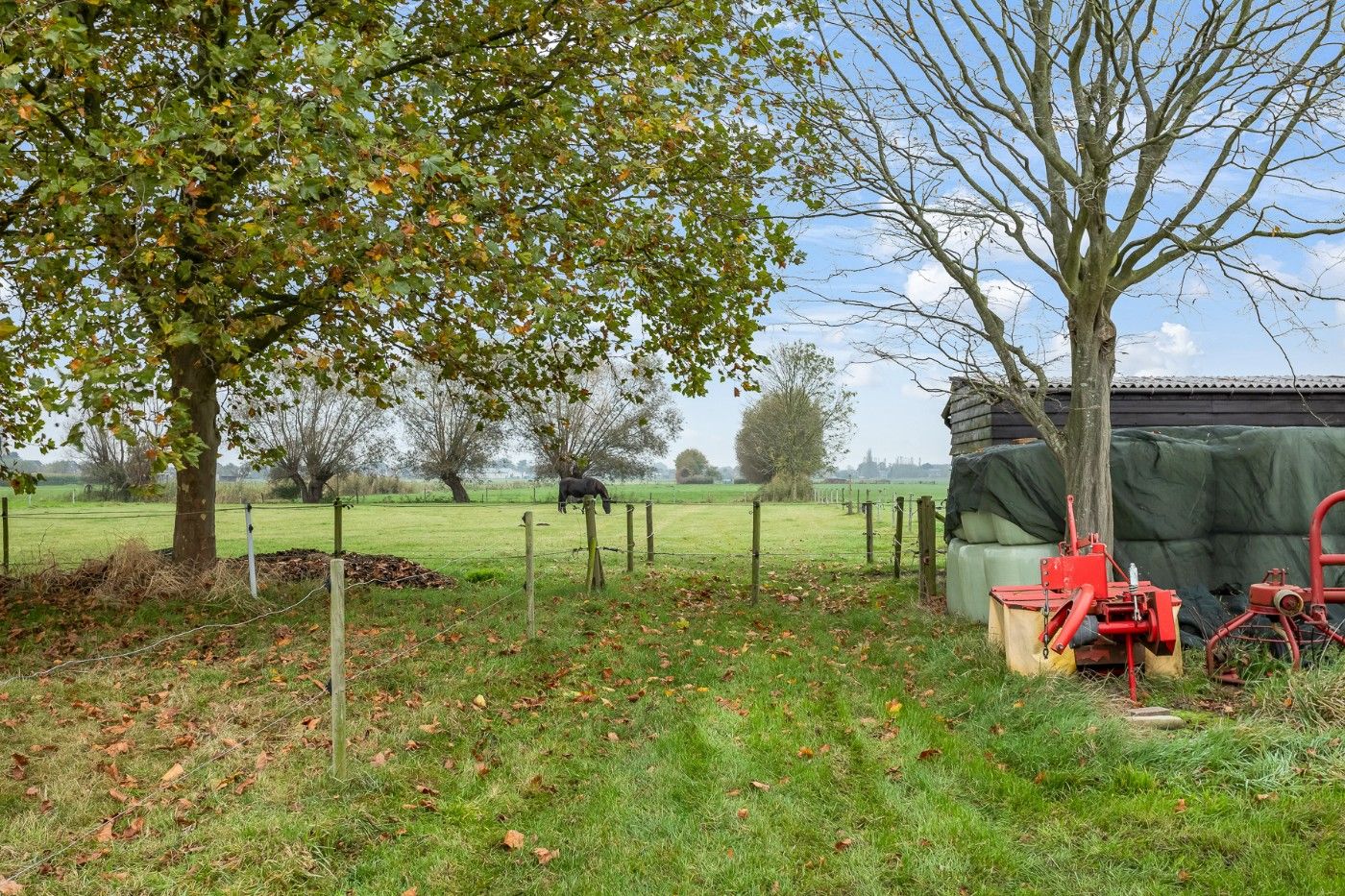 Mooi stuk weiland van 7490m² met schuilhok te koop in Hoevenen foto 5