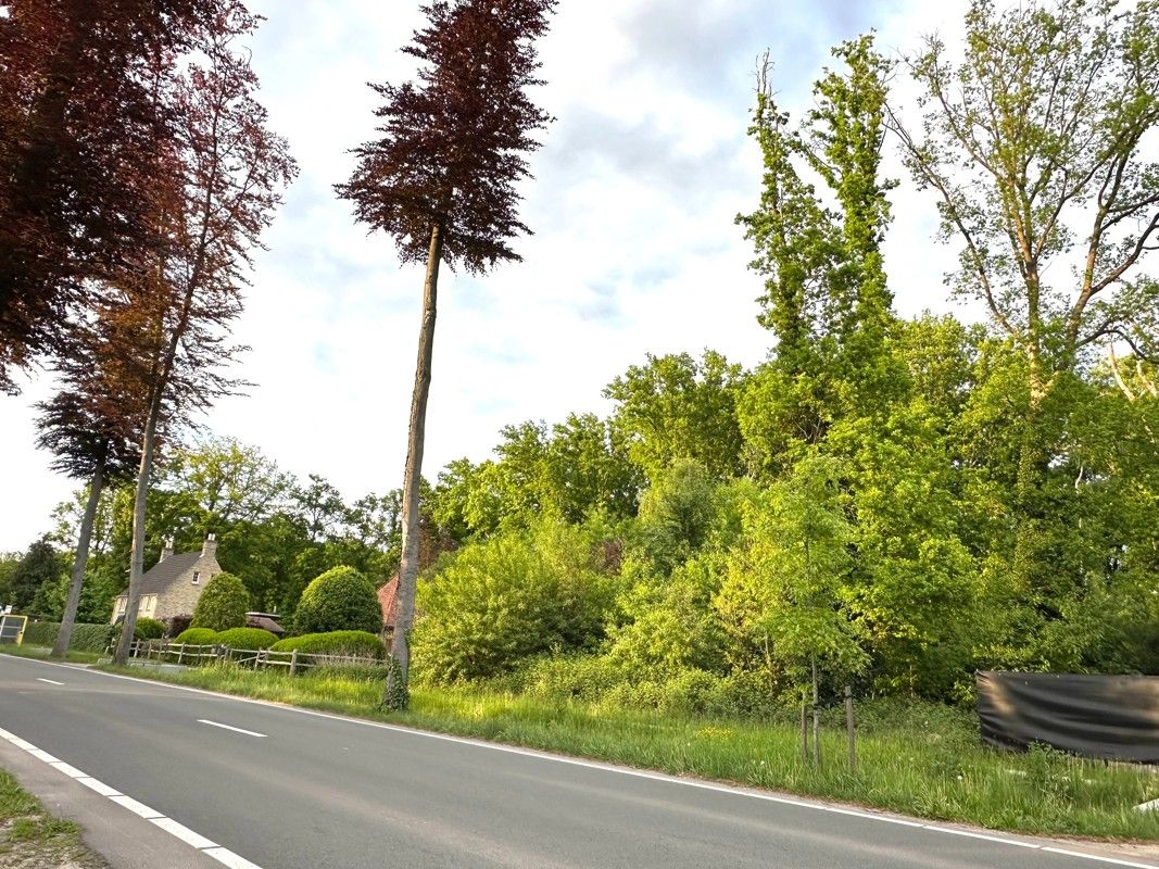 Bouwgrond met bijzonder veel potentieel vlakbij het centrum van 's Gravenwezel foto 2