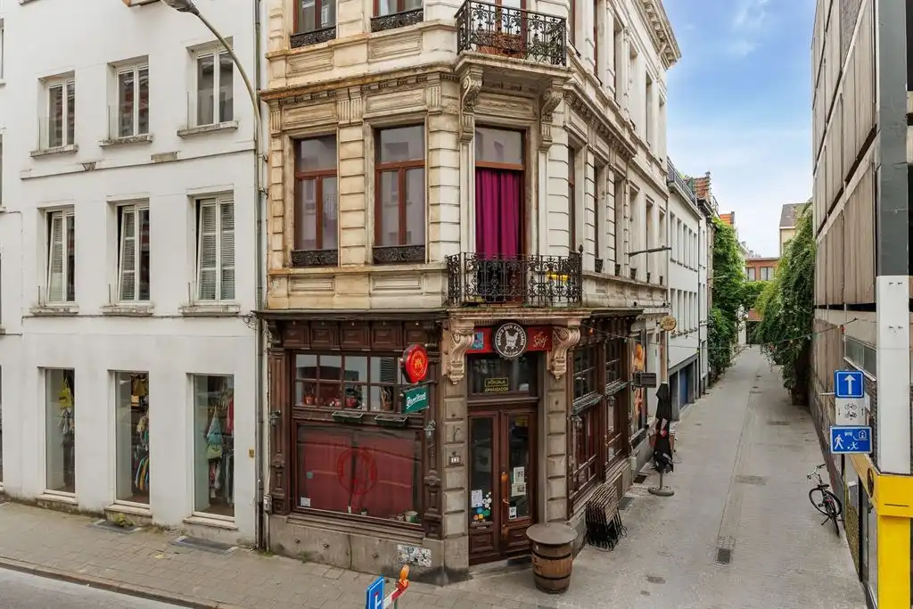 Gerenoveerd appartement met terras foto 5