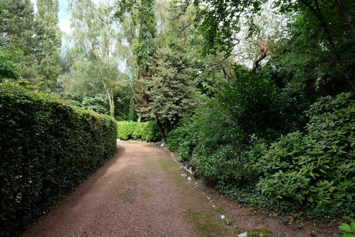 Uniek perceel met een charmante vakantiewoning midden in de natuur omgeven door een uitzonderlijke collectie van prachtige bomen. foto 8