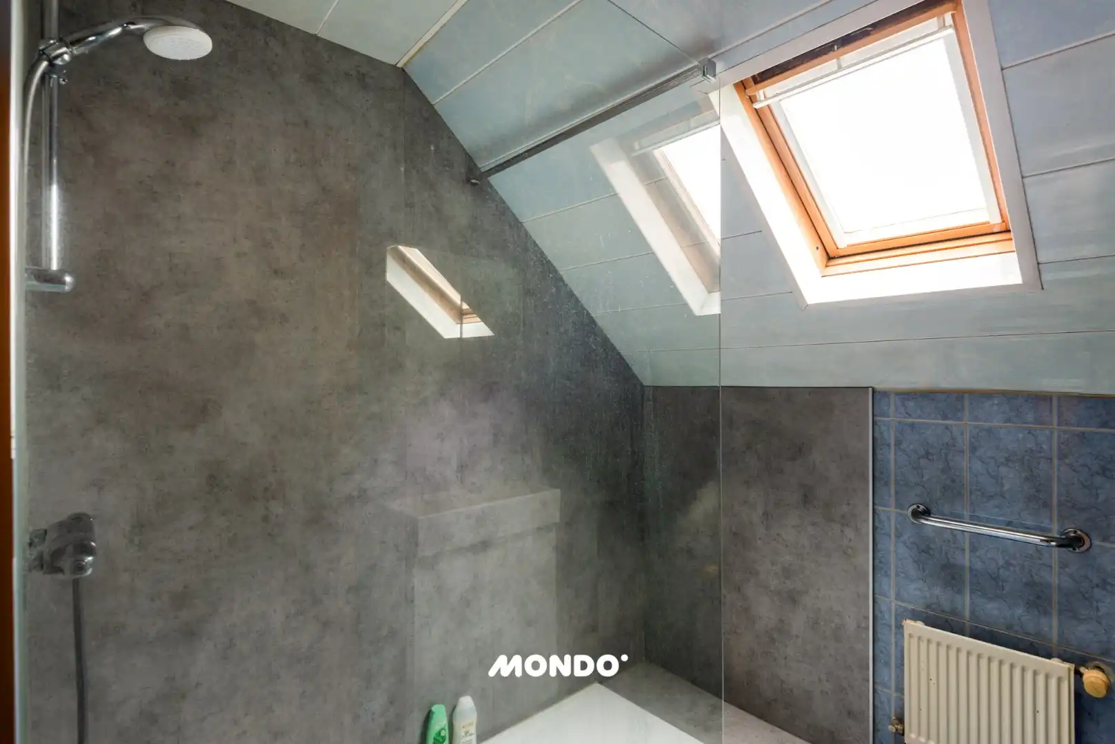 Royale woning, met tuin en garage in het groene Laken foto 31