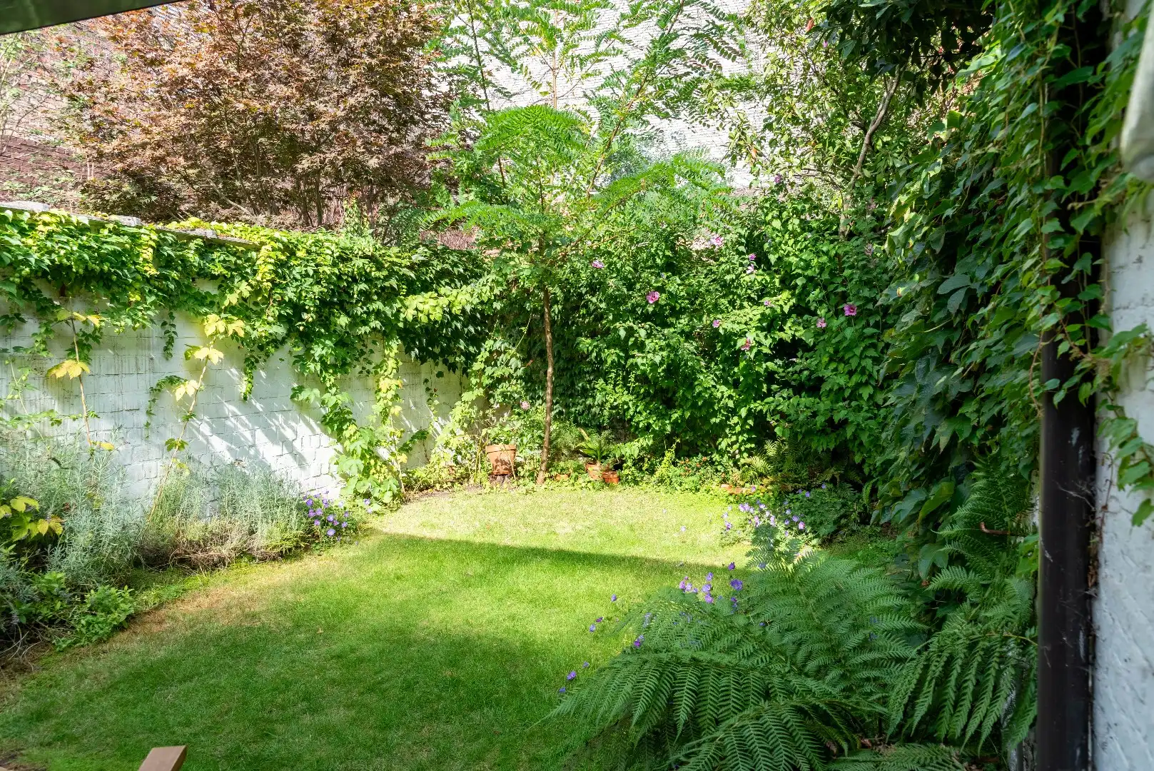 Hiddem gem met tuin in hippe buurt foto 8