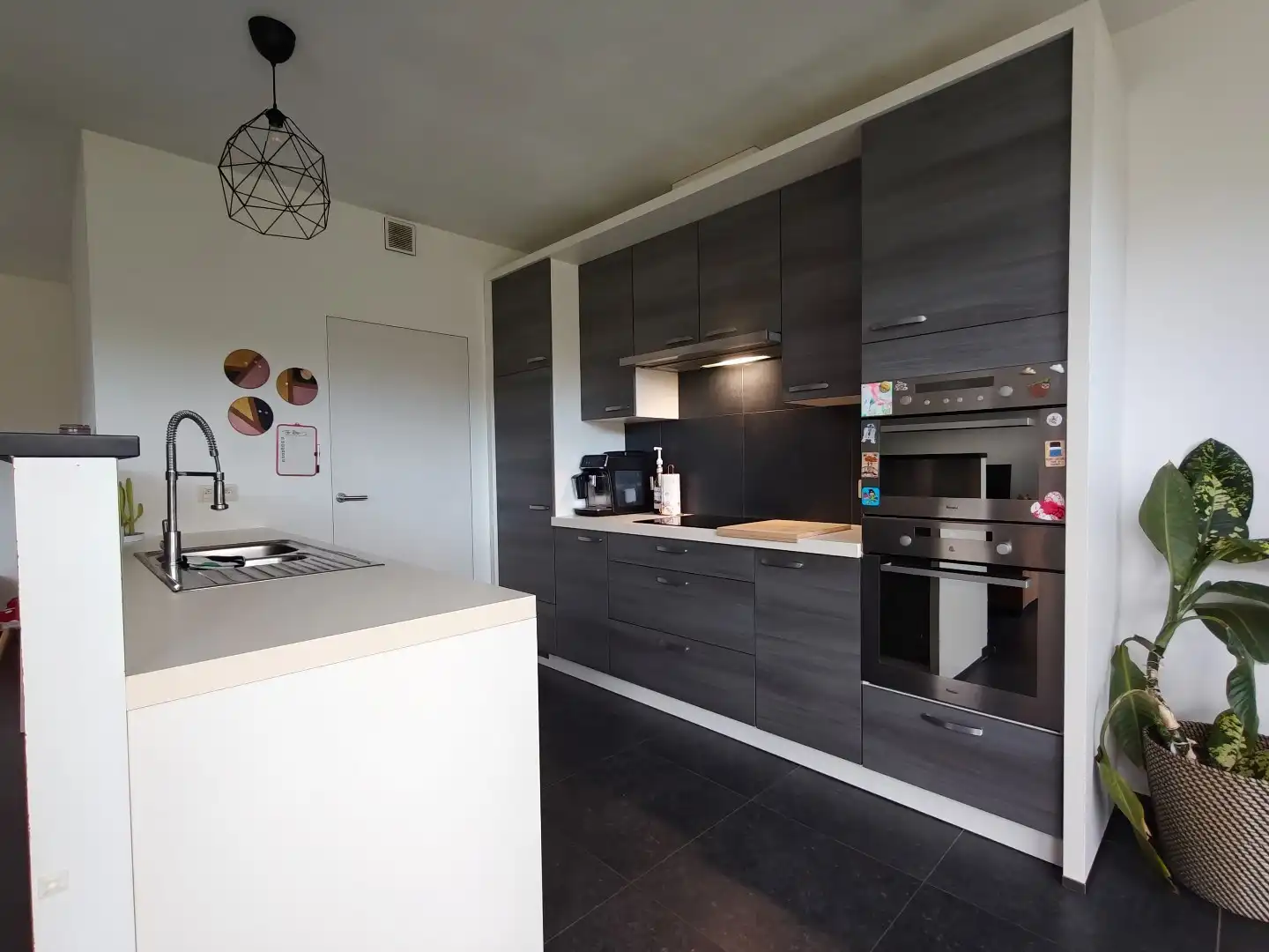 Ruime halfopen bebouwing met 3 slaapkamers, garage en tuin in Lokeren foto 4