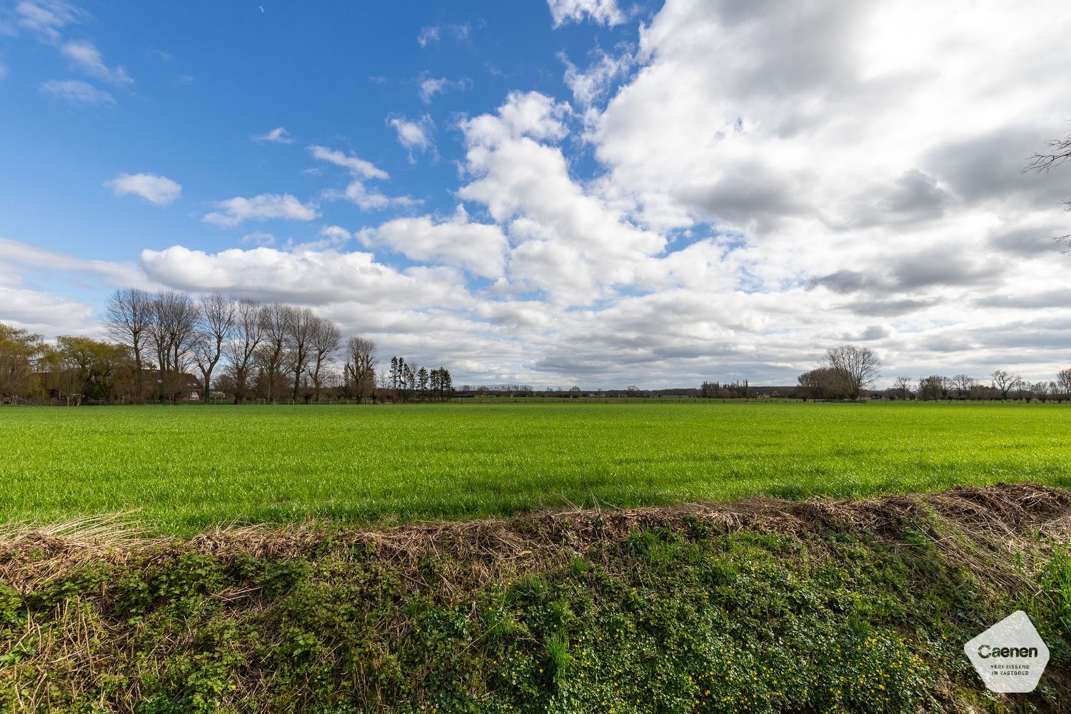 LANDELIJKE WONING met 5 SLAAPKAMERS op perceel van 1563 m² en BIJGEBOUWEN VOOR ZELFSTANDIGE! foto 2