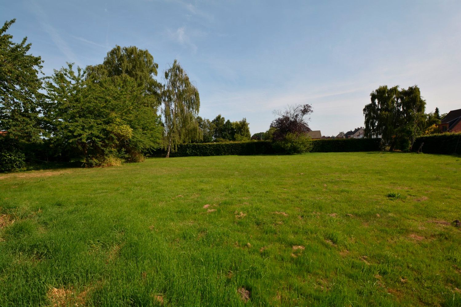 RIANTE, GERENOVEERDE WONING OP 3.400 m²! foto 4