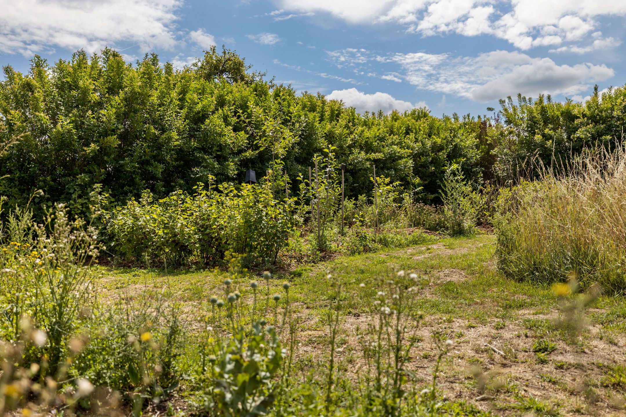 Te renoveren hoeve met schuur, loods en prachtige zichten foto 21