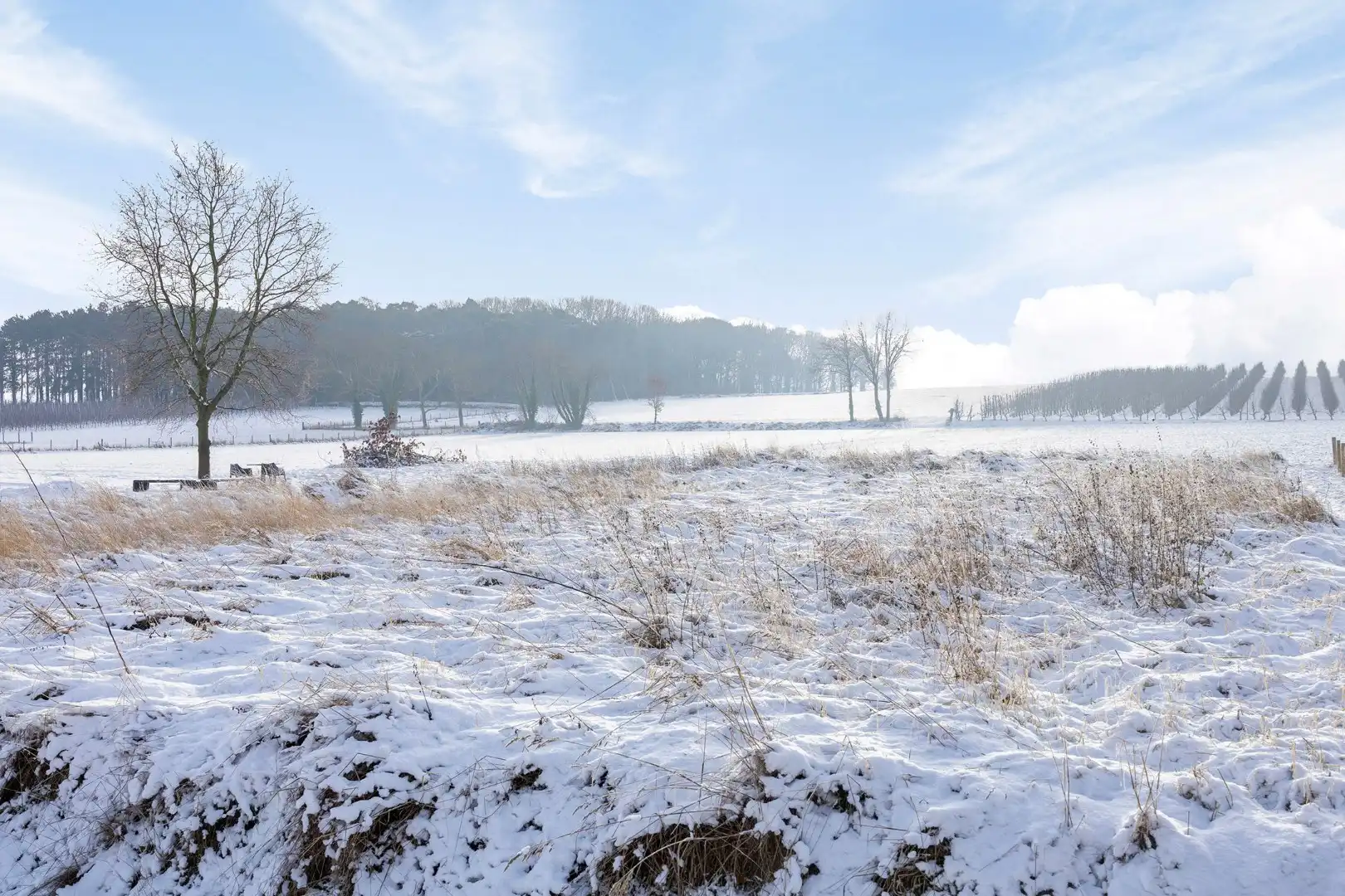 Fantastisch afgewerkte nieuwbouwwoning met 3 slaapkamers, tuin en terras in Assent (Bekkevoort)! – bewoonbare opp. 177m²  foto 26