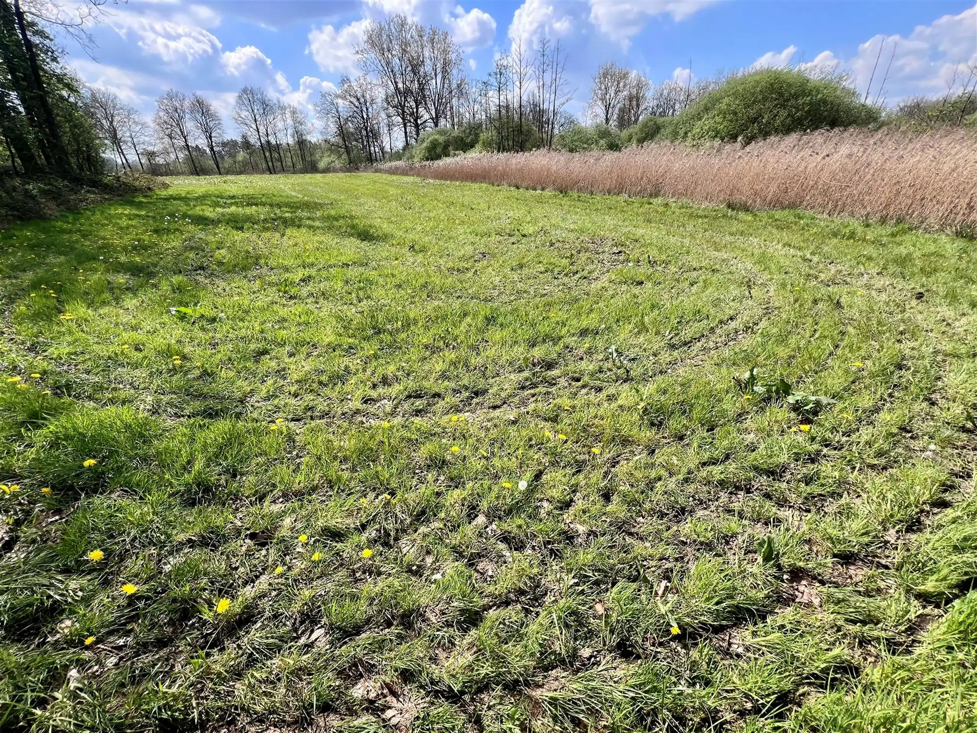 Agrarisch perceel van 8.260 m,  groene en rustige omgeving  foto 5
