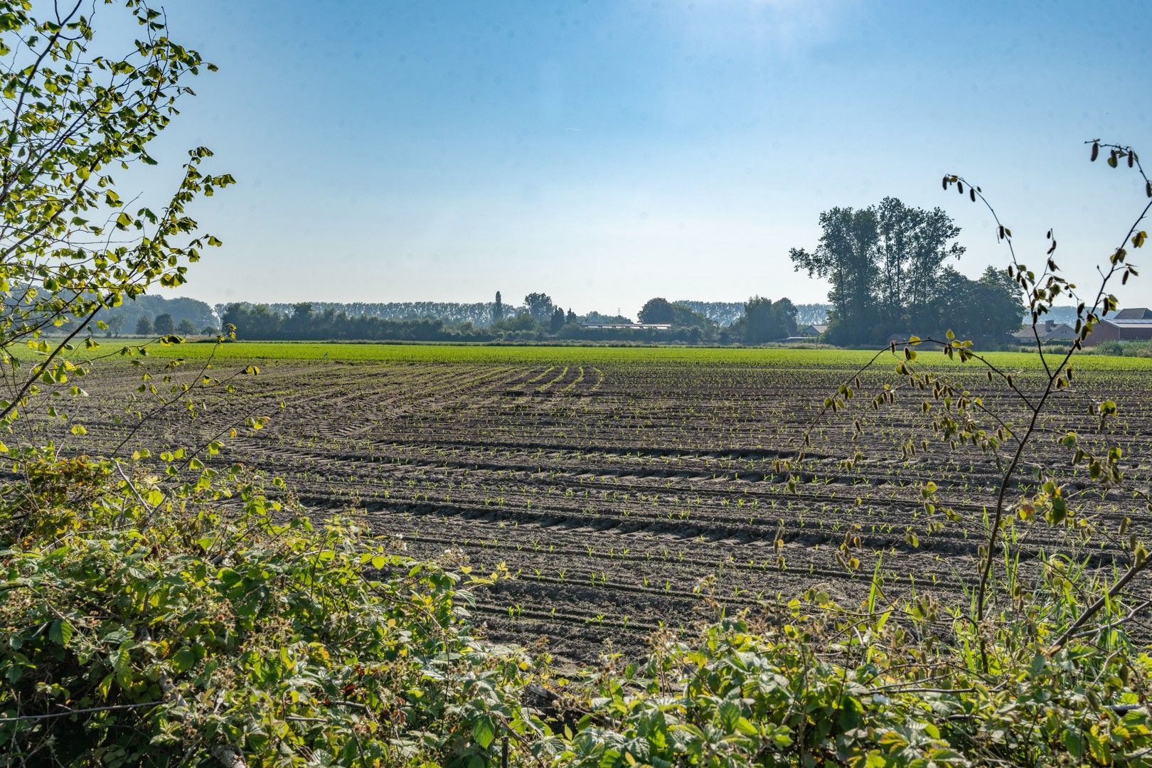 Landelijke gezinswoning nabij het centrum van Zomergem foto 26