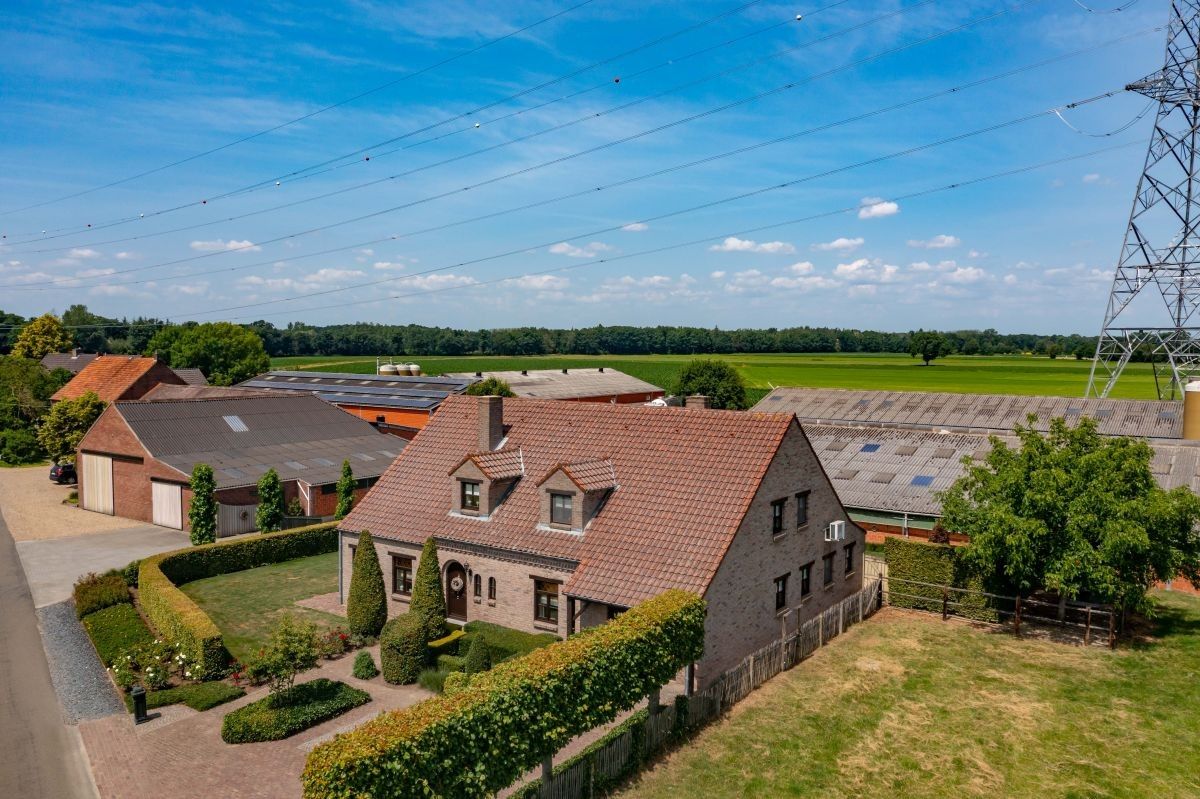 Hoeve met gronden te koop te Kinrooi foto {{pictureIndex}}