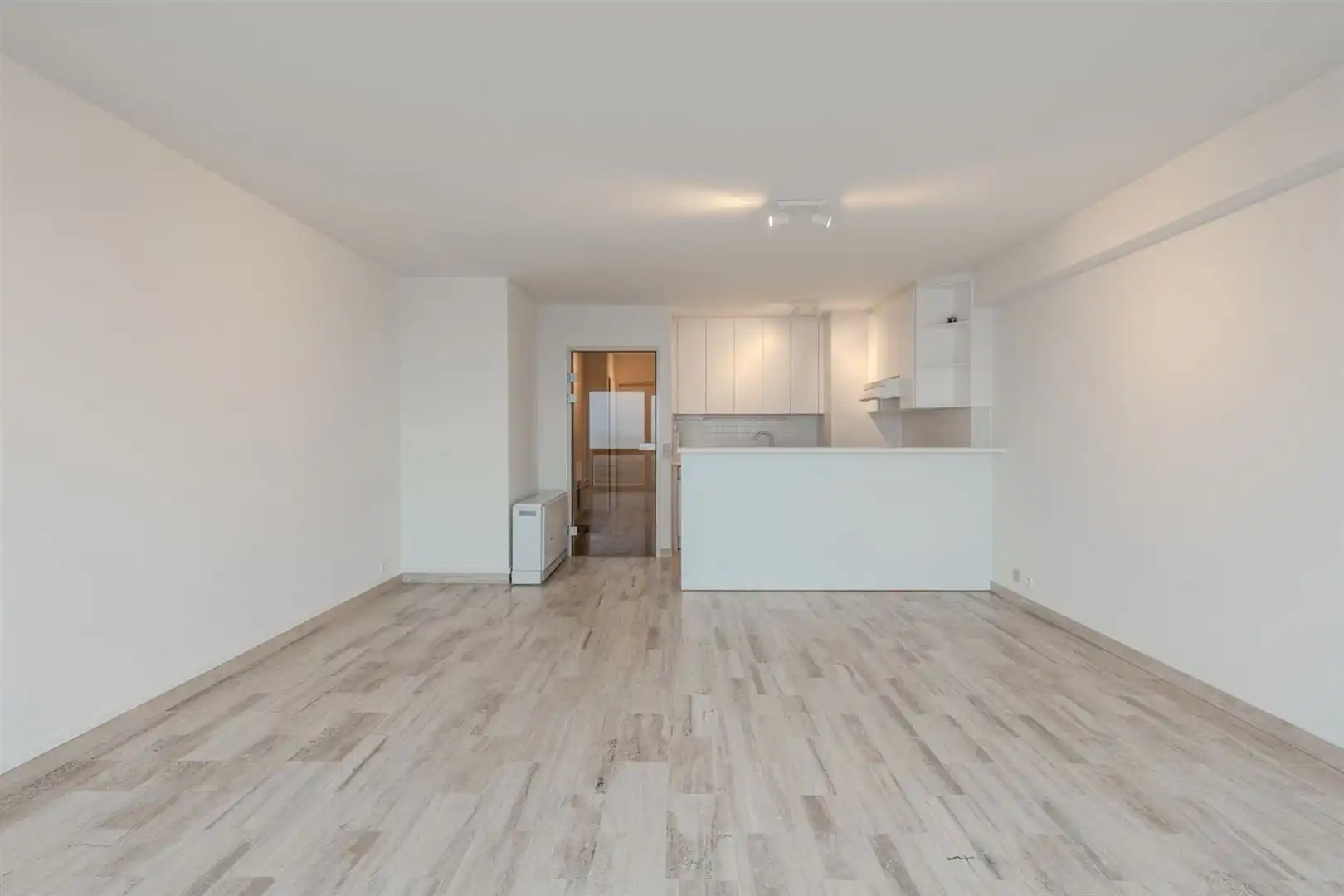 uitzonderlijk doorloop appartement met zee- en duinzicht foto 6