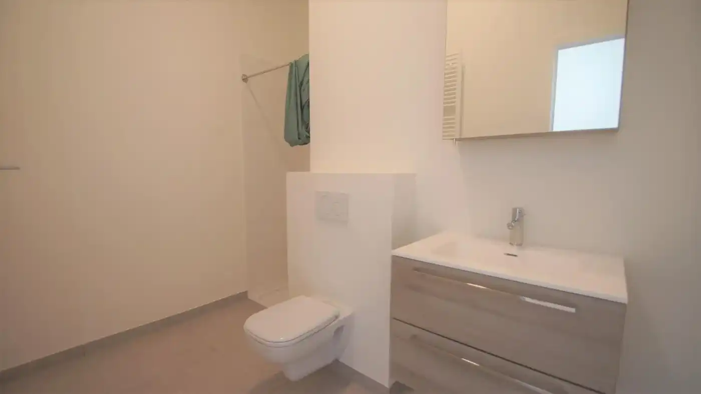 Instapklare duplex met veel karakter, 1 slpk en terras foto 4