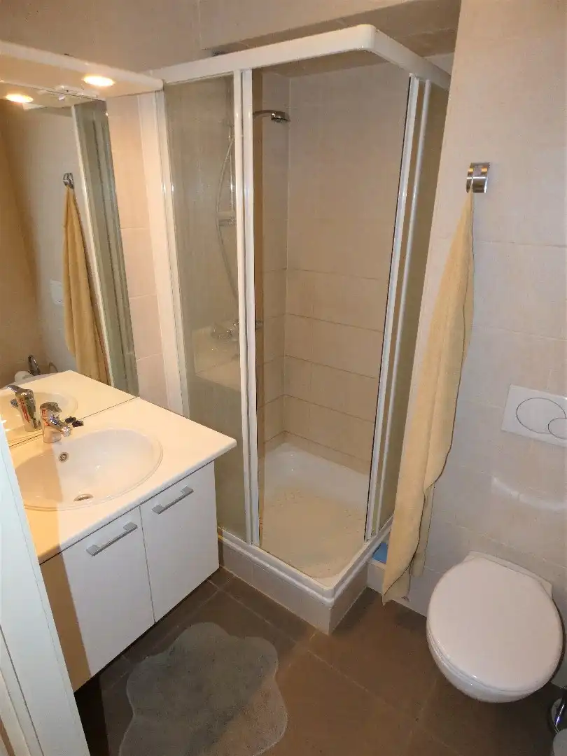 1-slaapkamer appartement, instapklaar, met zonnig terras, centrum Torhout foto 12