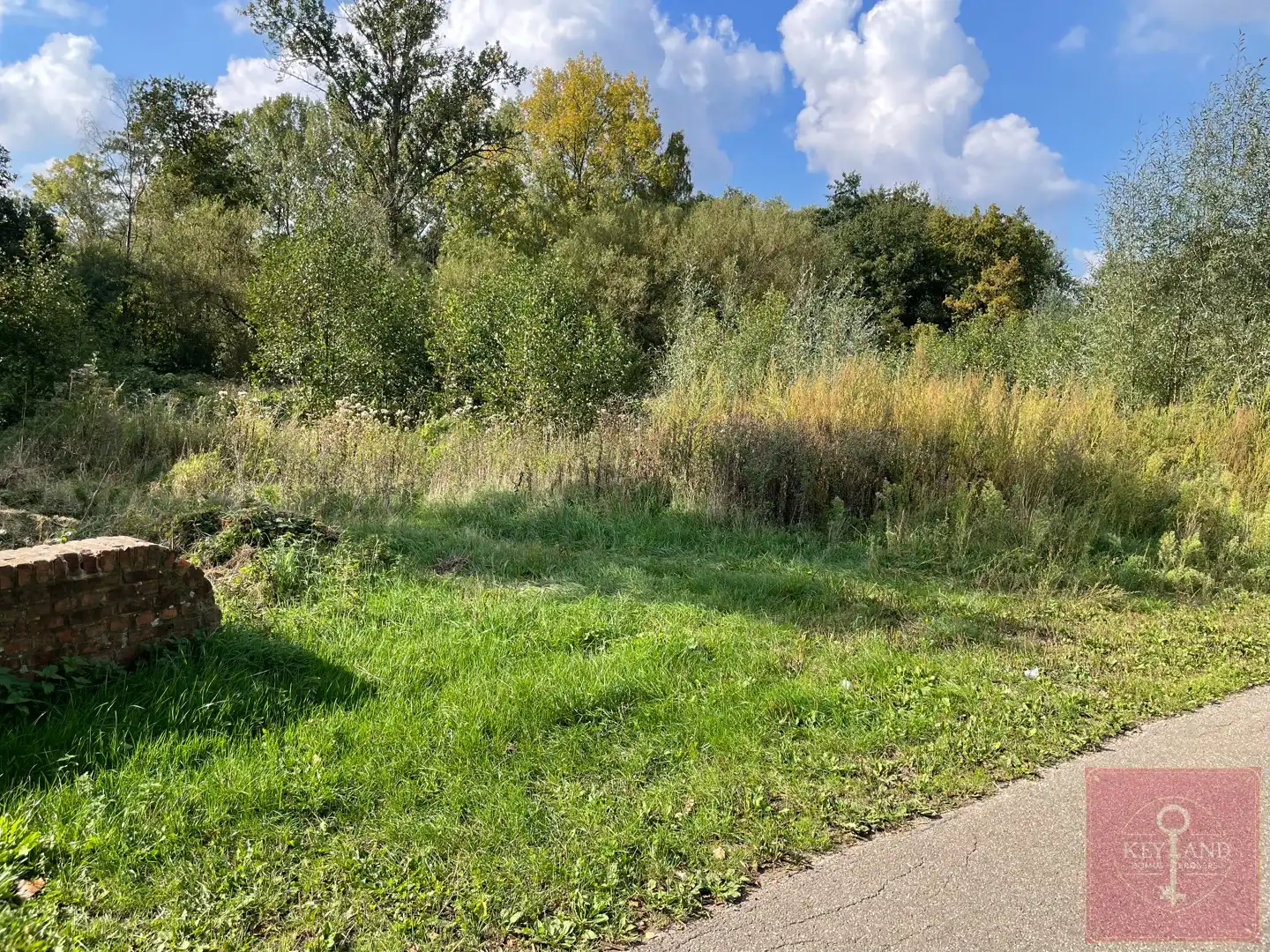 3 percelen, rustig gelegen, landbouwgrond te koop nabij natuurgebied - Houthalen-Helchteren foto 6