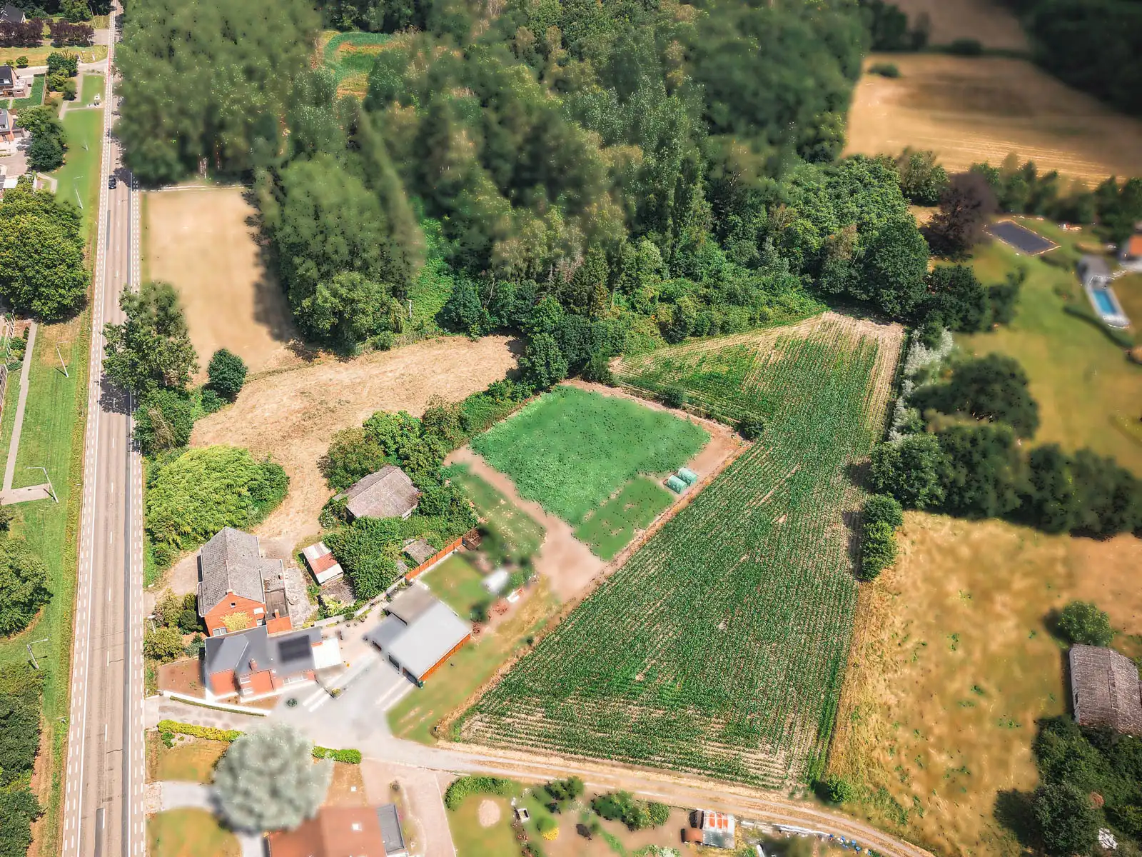 Karaktervolle woning op prachtig perceel van ruim 11501 m² foto 3