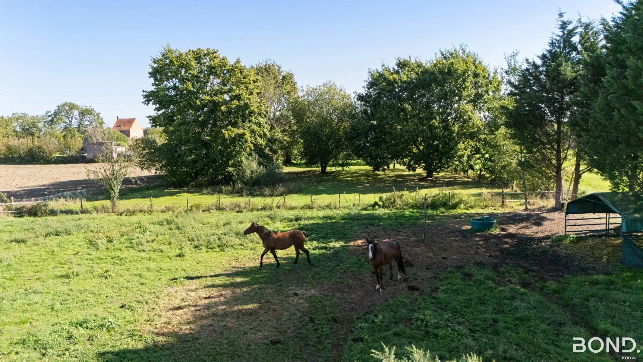 Charmante woning op 41,30 are! foto 4