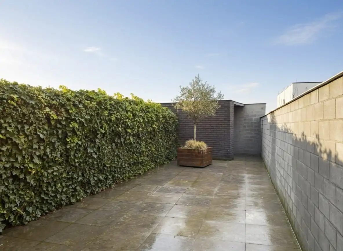 GEZELLIGE RIJWONING MET 3 SLPKS | KOER EN TERRAS foto 16