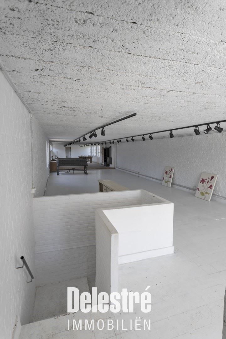 LOFTVIBES 750 M2 LEO DE BETHUNELAAN. foto 8
