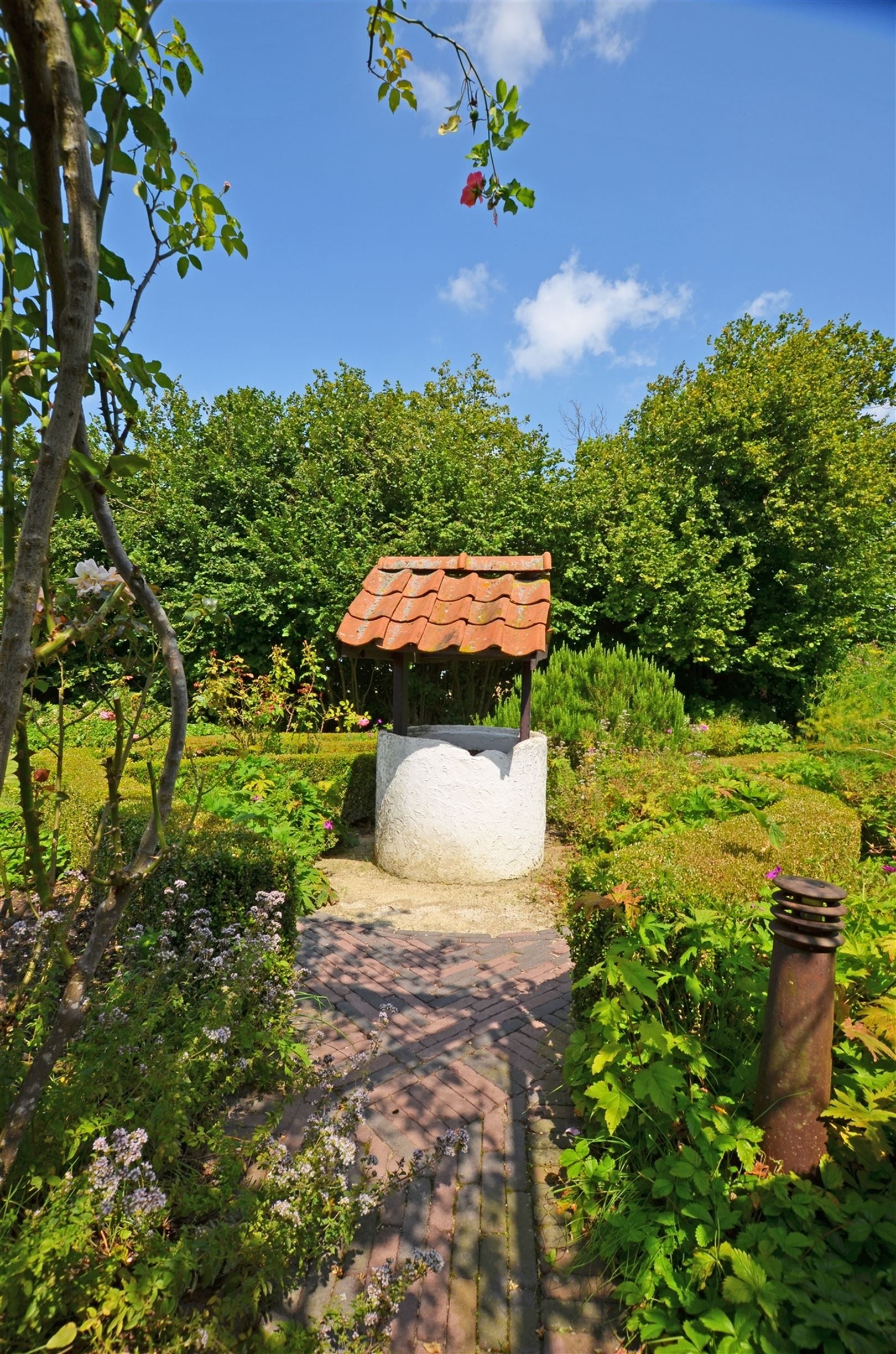 Landelijk gelegen vierkantshoeve op ±1.4Ha foto 42