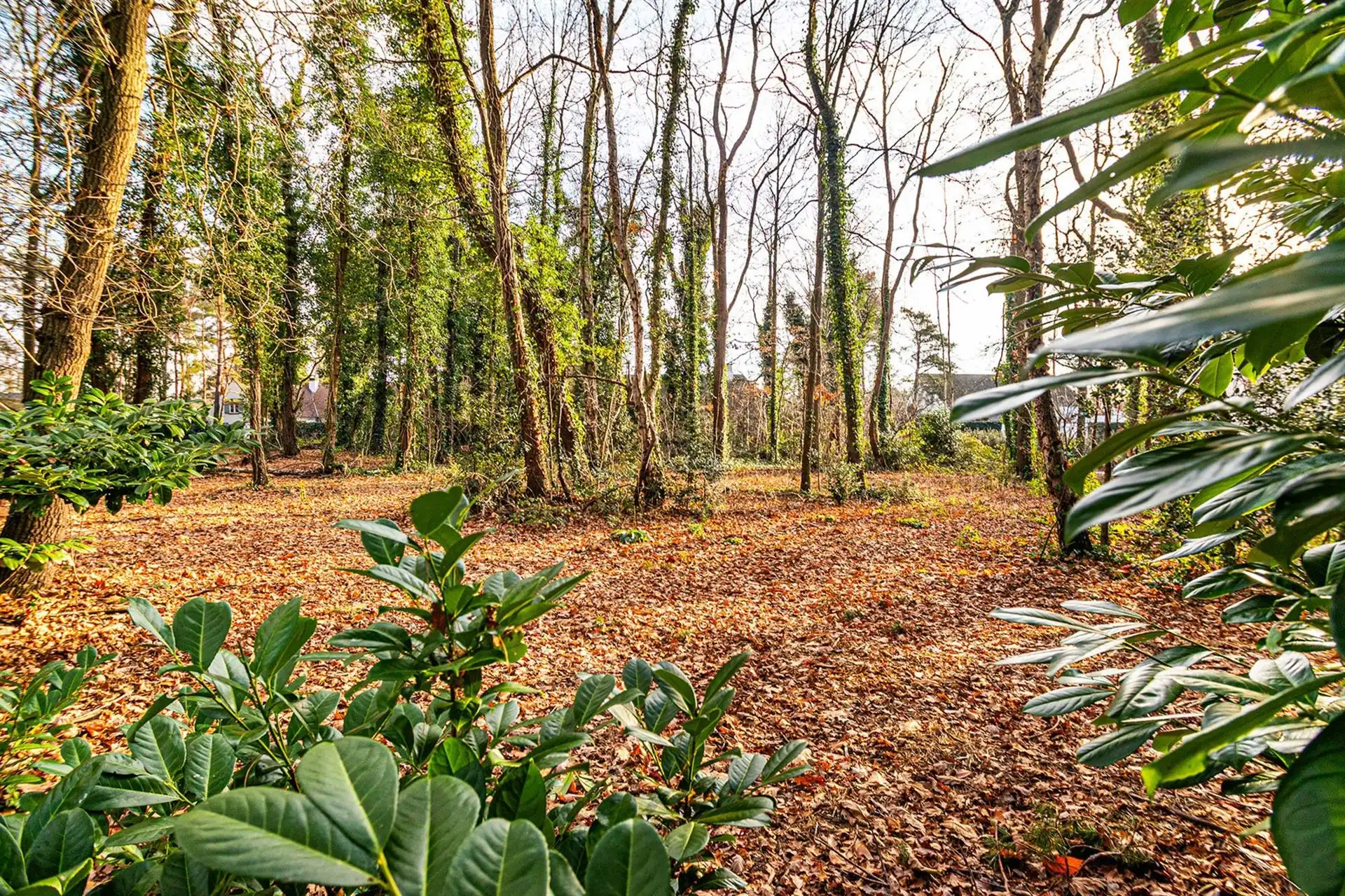 Exclusieve bouwgrond van 4.370 m² in “Golf & Meer”-domein foto 29