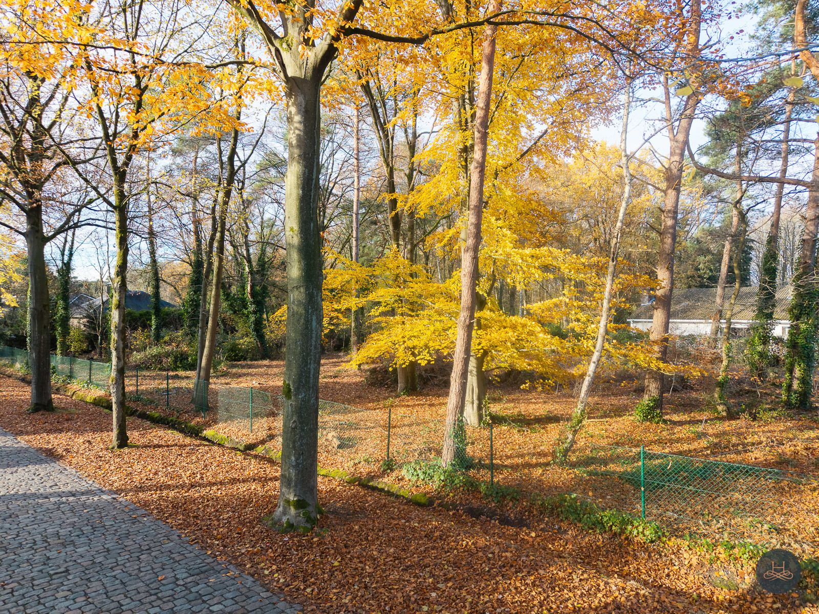 Uitzonderlijke bouwgrond voor open bebouwing in prestigieuze villawijk te Brasschaat foto {{pictureIndex}}