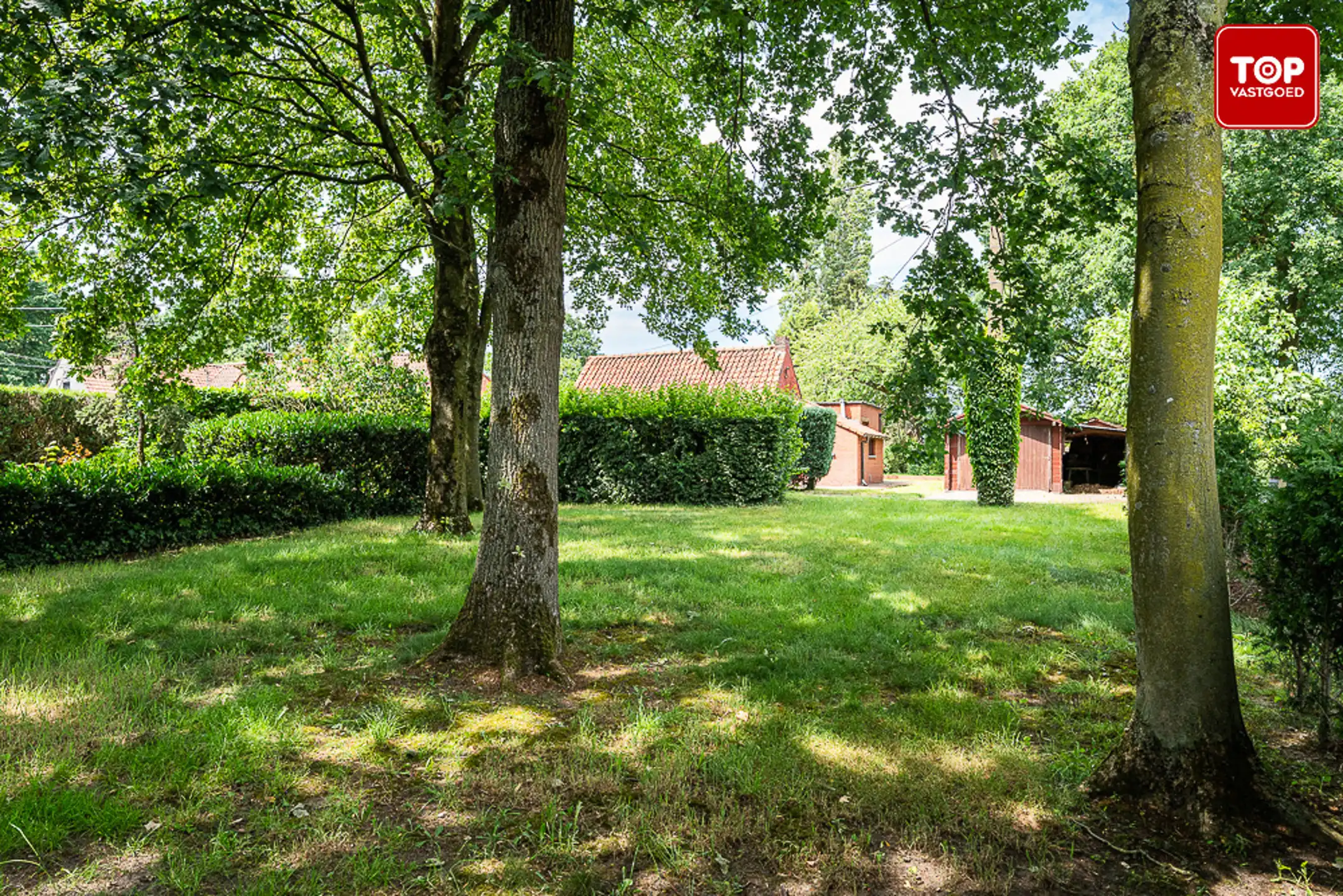Huis te koop foto 11