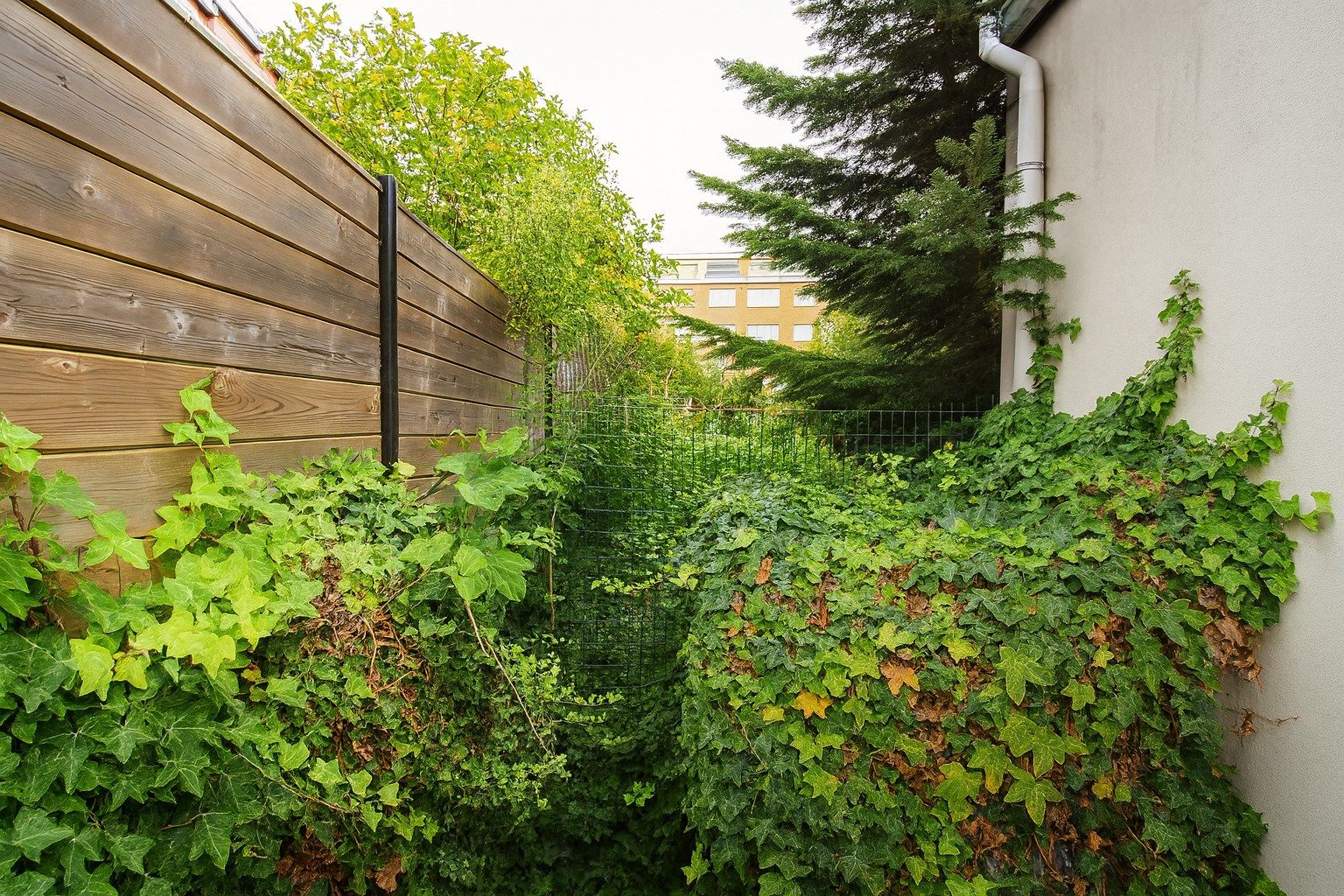 Unieke eigendom met woning, duplexappartement, magazijn en tuin op 508 m² gelegen te Burcht (Zwijndrecht)! foto 20