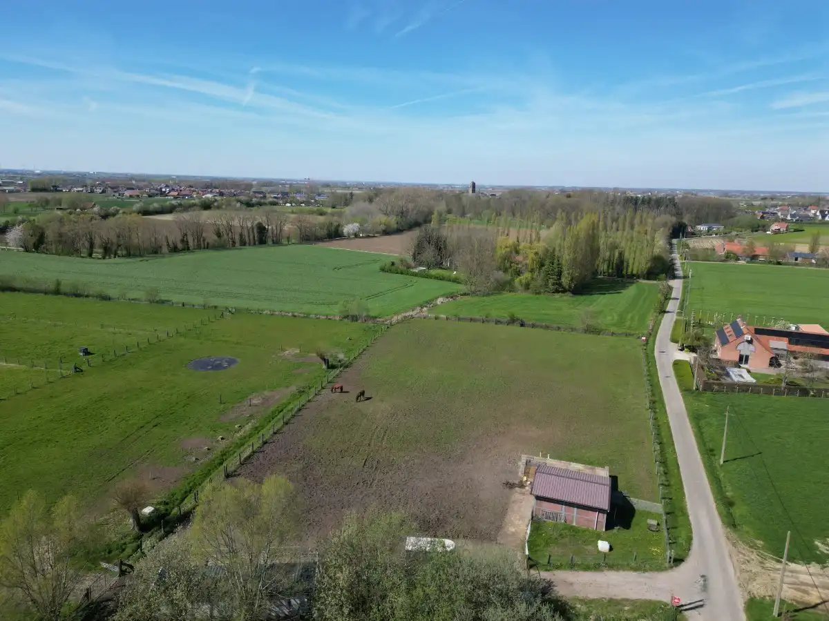 Zonnebeke - Uitgestrekt weiland met vergunde stal en praktische toegang foto 3