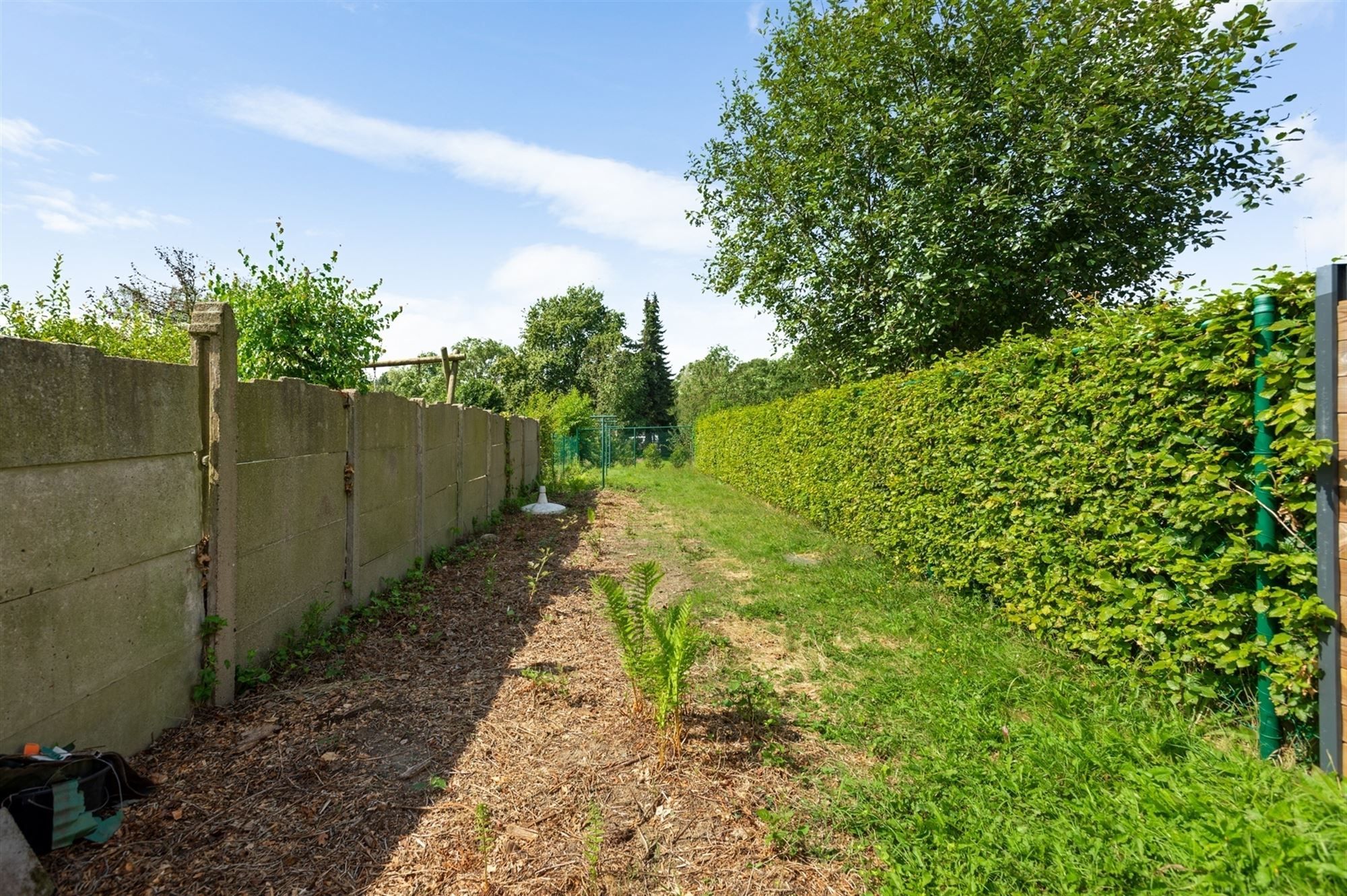 Woning met potentieel, gunstig gelegen te Mechelen foto 14