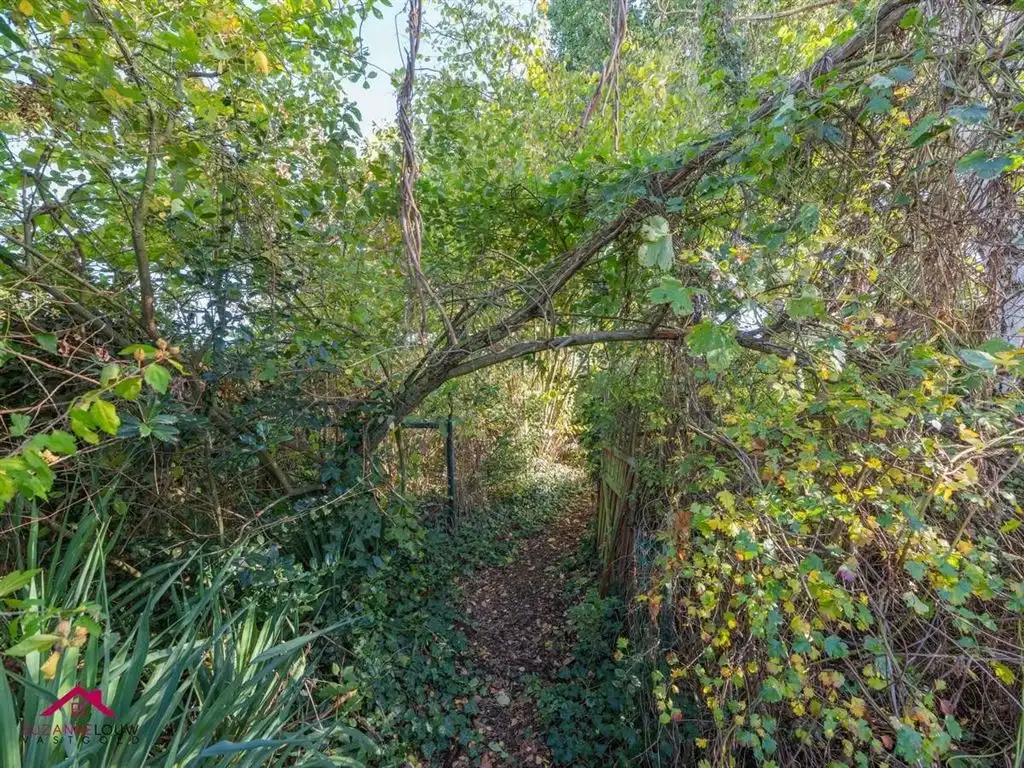 Vrijstaande woning op ruim perceel foto 43