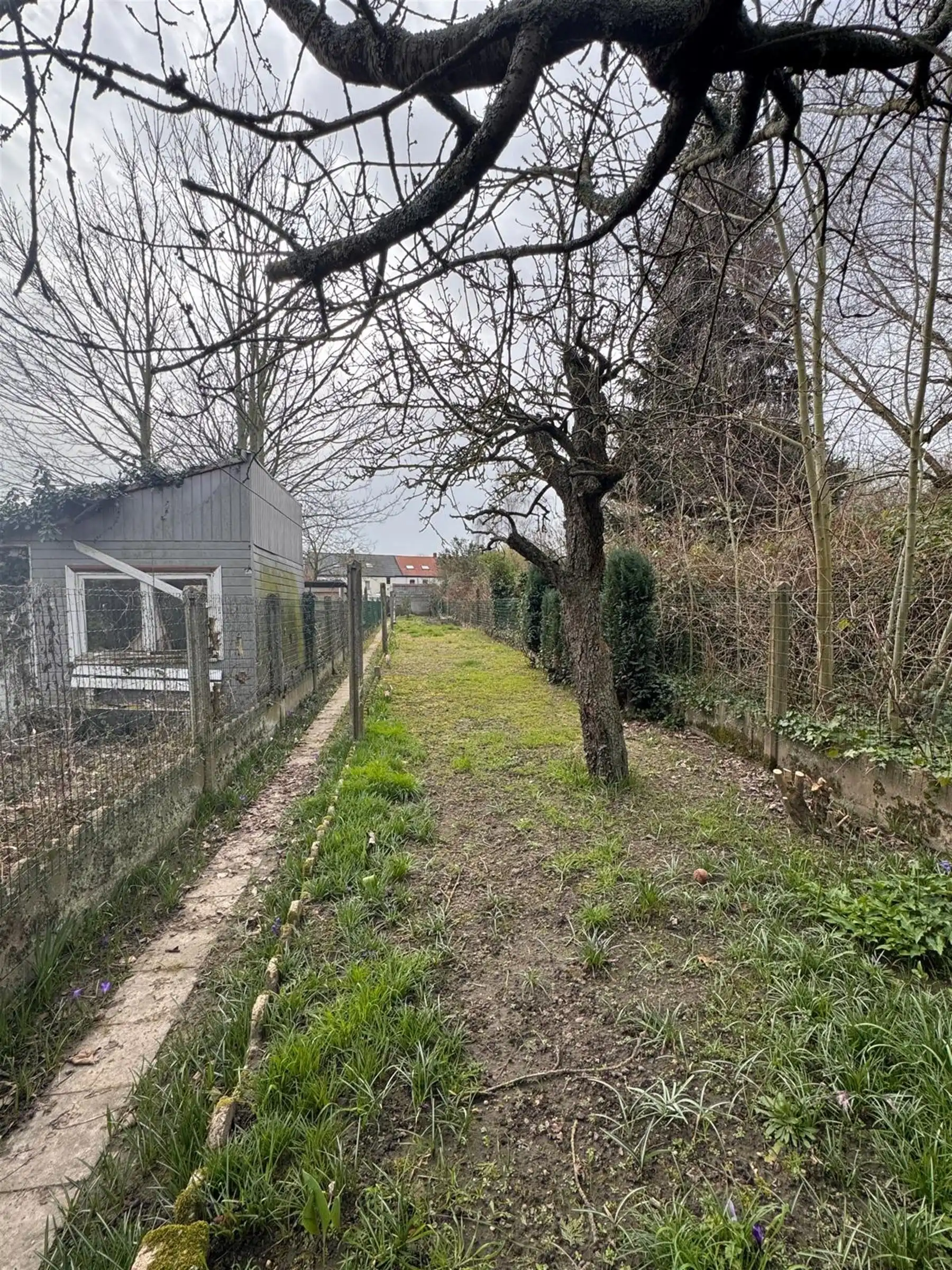 Renovatiewoning met potentieel op 328 m² in het centrum Zwevegem

 foto 6