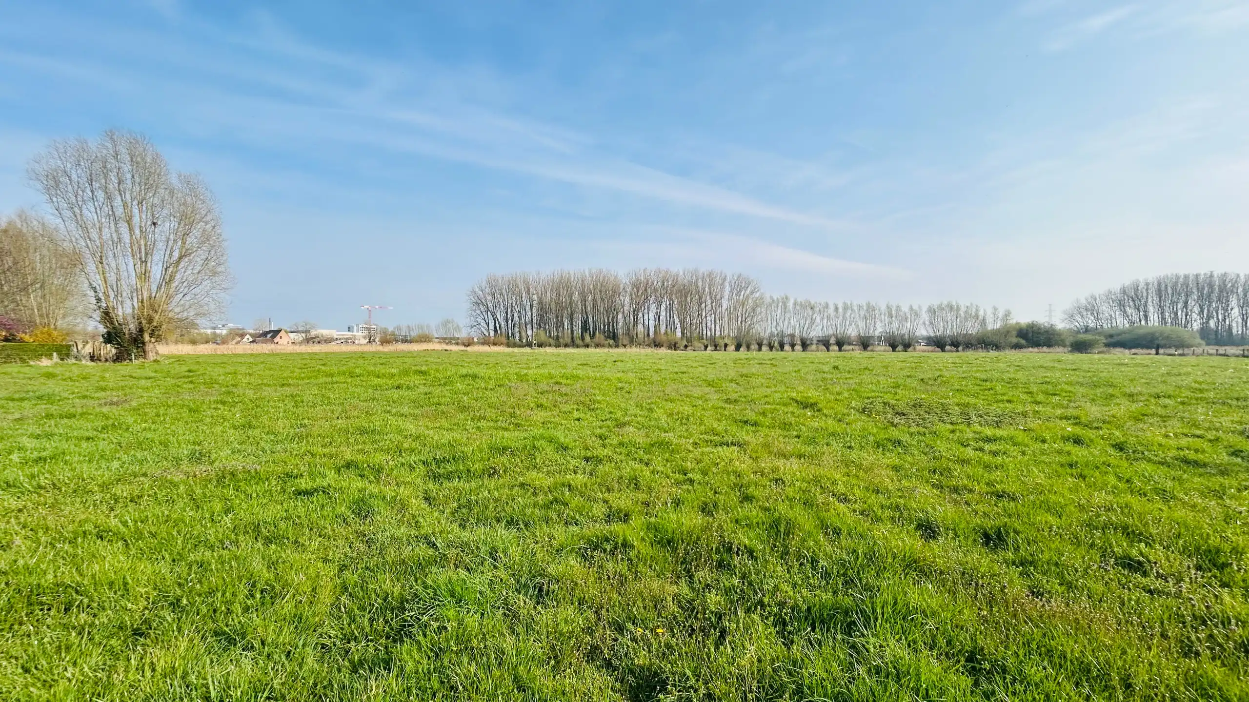 Unieke combinatie van bouwgrond en landbouwgrond foto 3