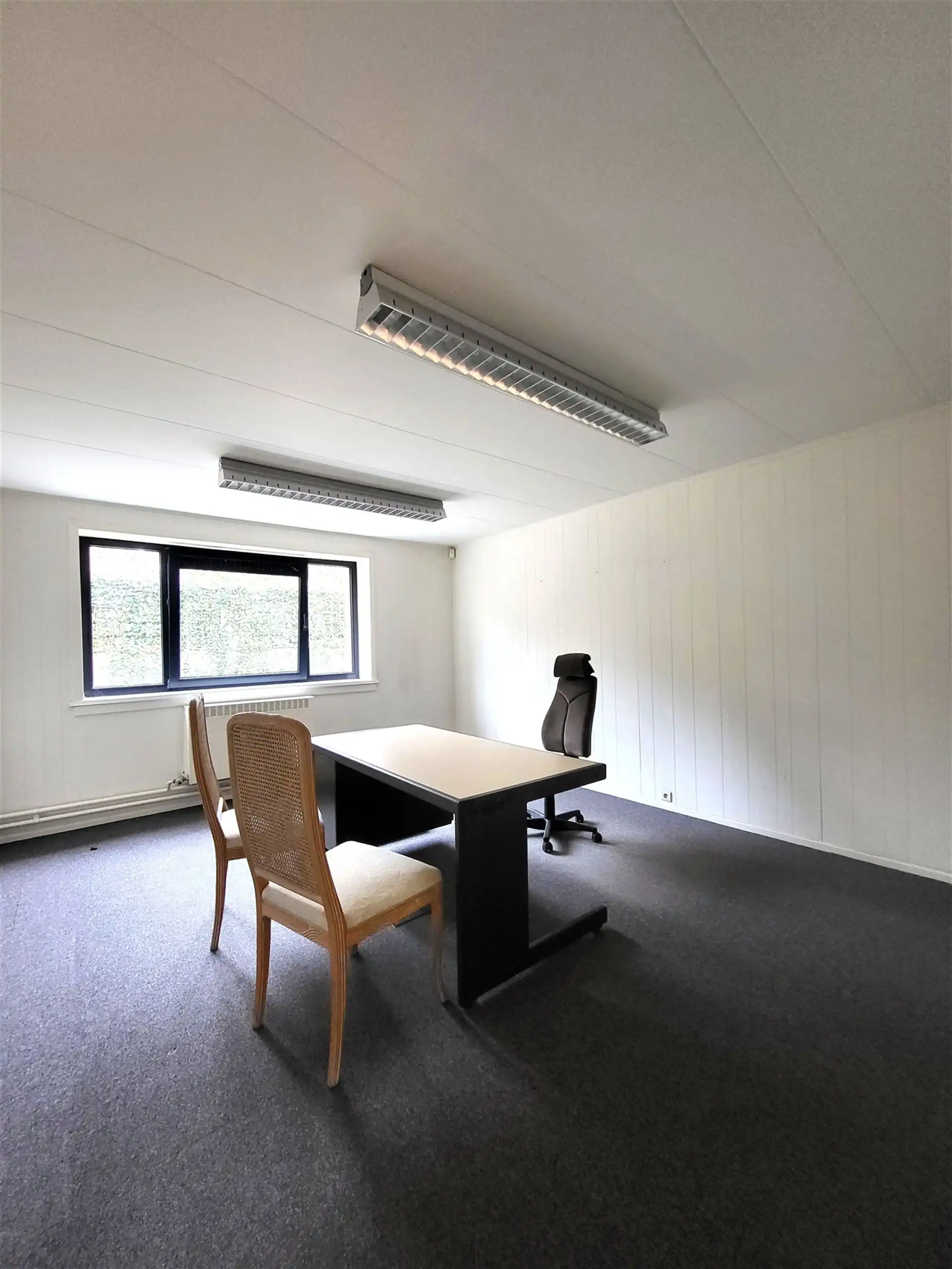 Villa met professionele opslagruimte, kelder en kantoorruimtes. foto 27